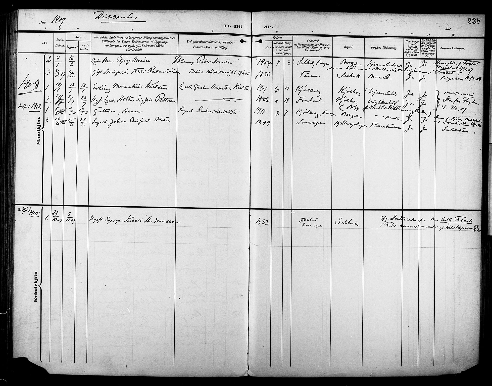 Borge prestekontor Kirkebøker, AV/SAO-A-10903/F/Fa/L0009: Parish register (official) no. I 9, 1902-1911, p. 238