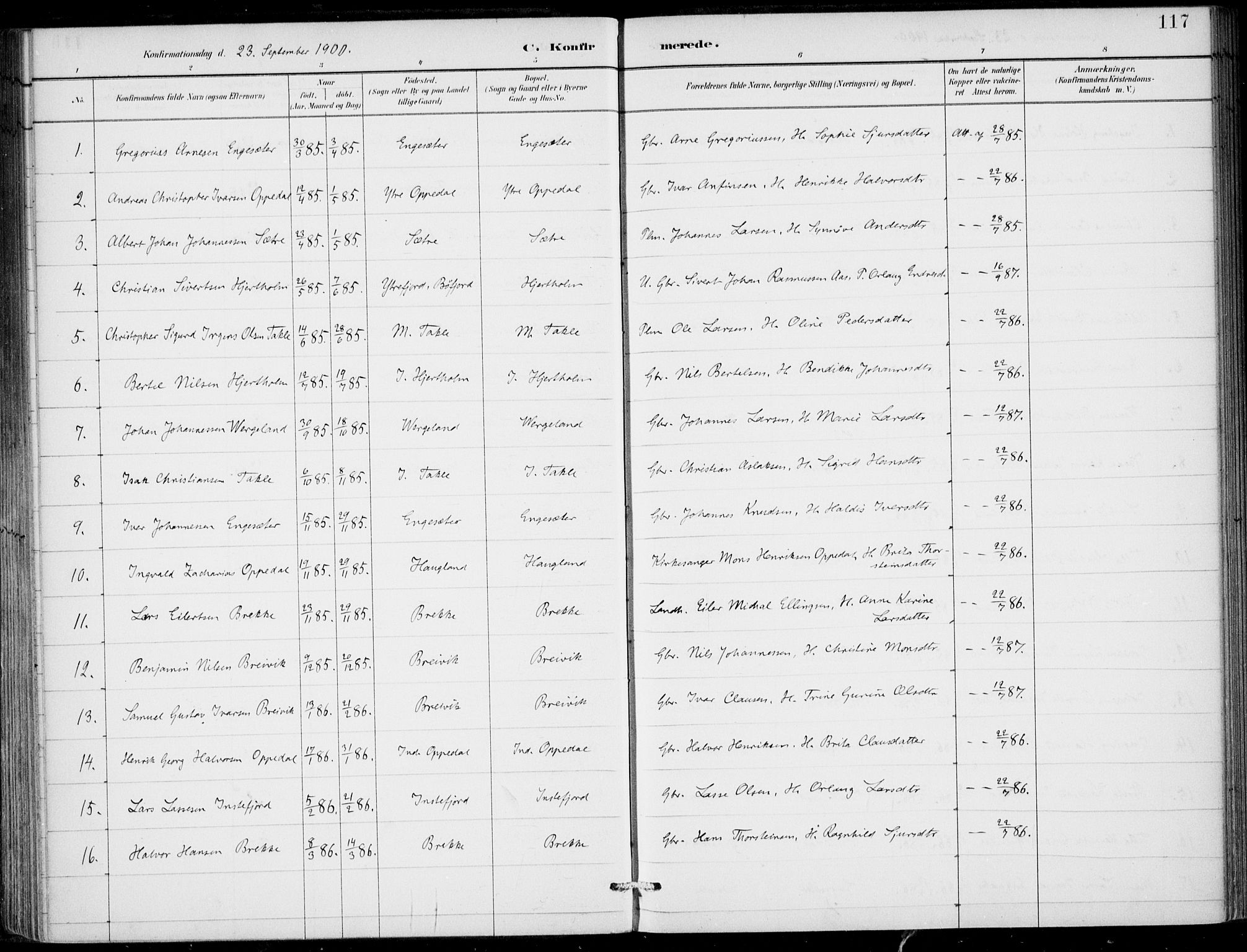 Gulen sokneprestembete, AV/SAB-A-80201/H/Haa/Haac/L0002: Parish register (official) no. C  2, 1882-1914, p. 117