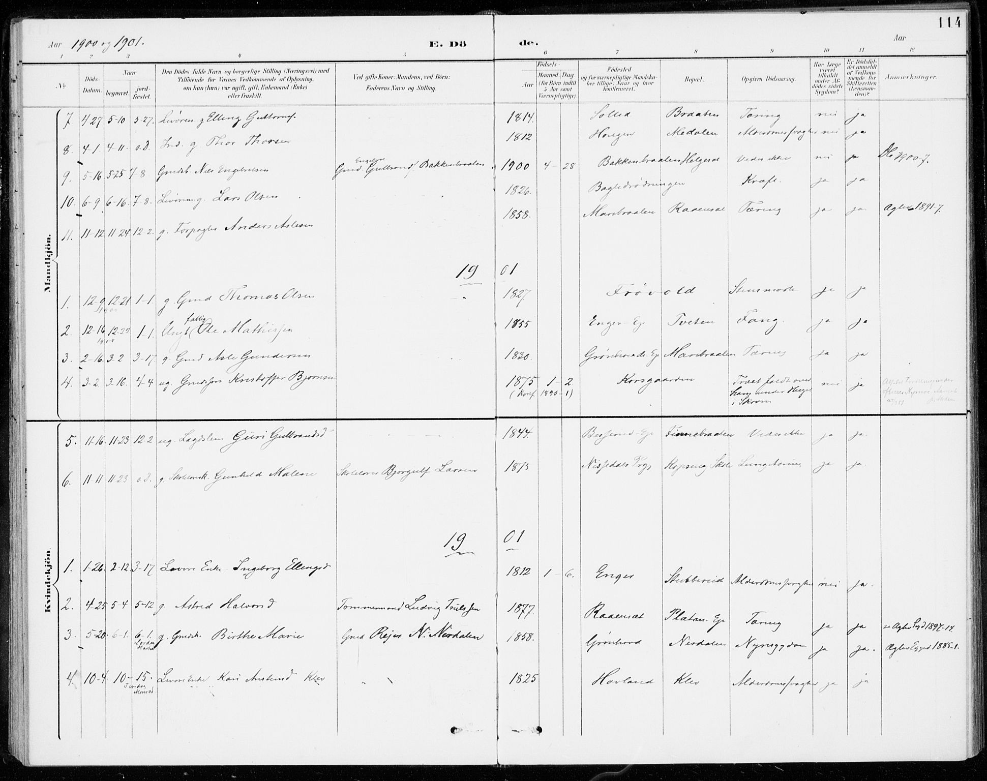 Sigdal kirkebøker, SAKO/A-245/F/Fc/L0002: Parish register (official) no. III 2, 1894-1911, p. 114