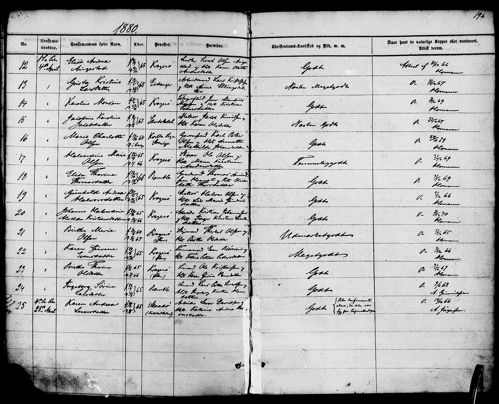 Kragerø kirkebøker, SAKO/A-278/F/Fa/L0008: Parish register (official) no. 8, 1856-1880, p. 194