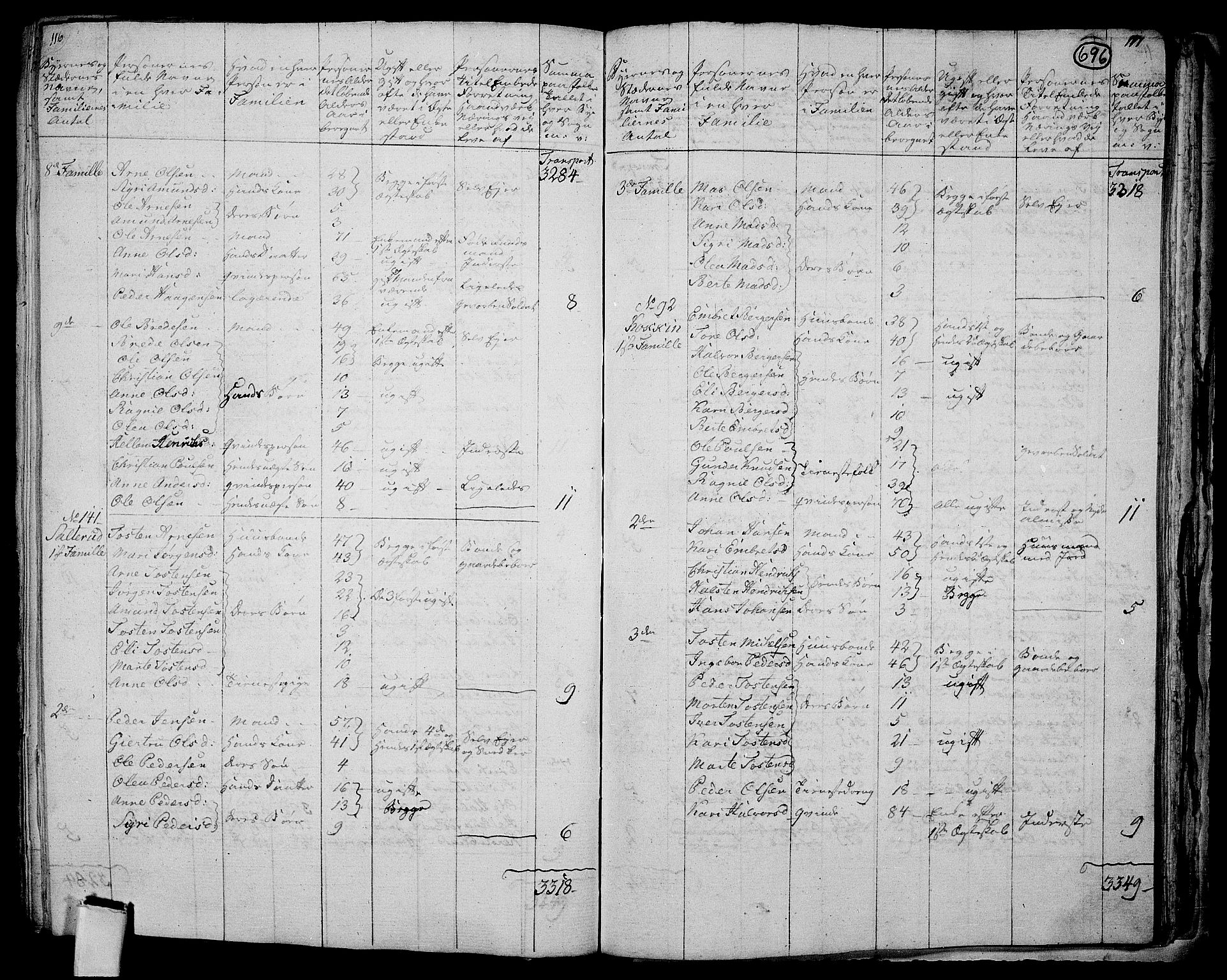 RA, 1801 census for 0424P Hof, 1801, p. 695b-696a