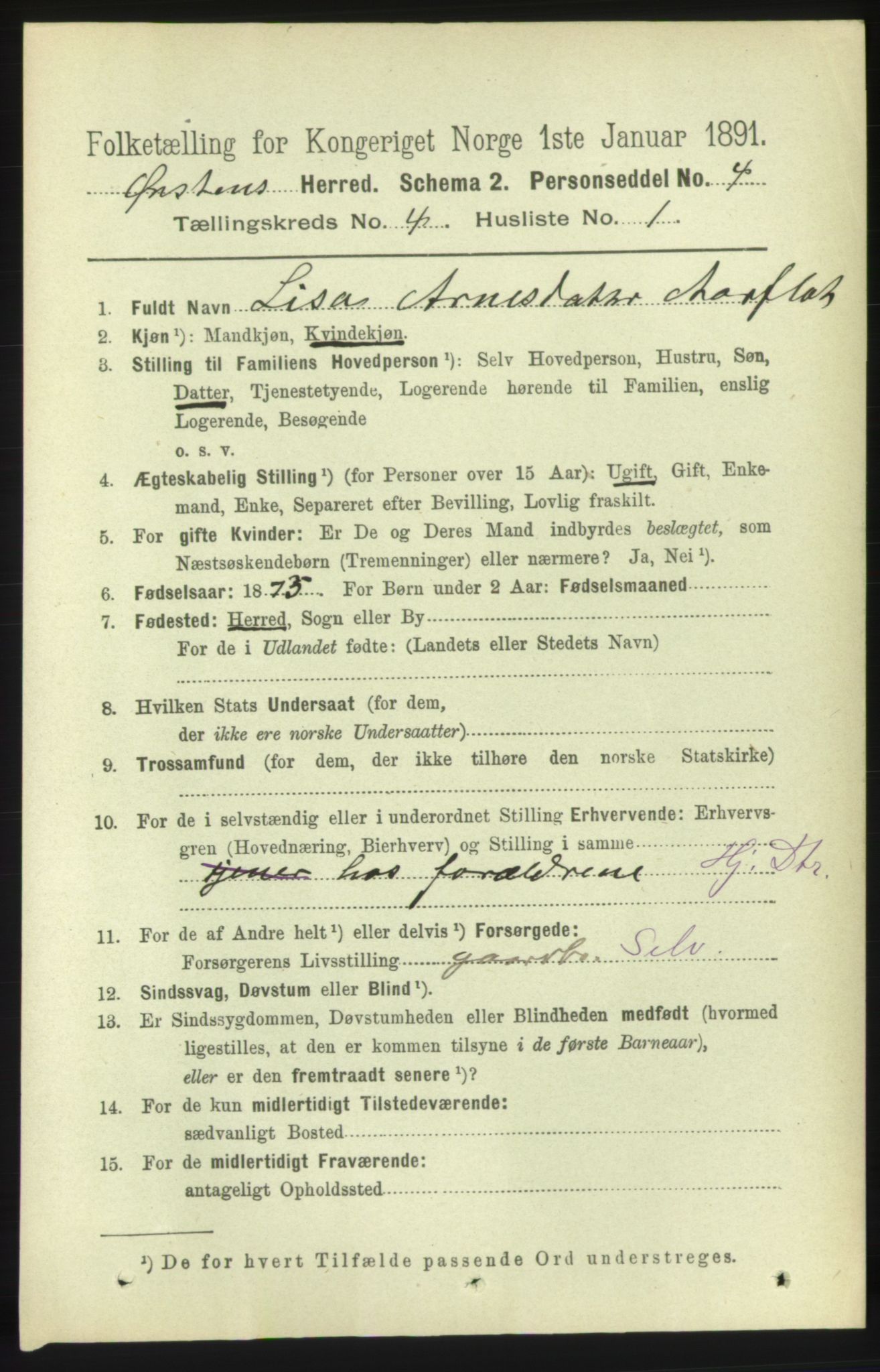 RA, 1891 census for 1520 Ørsta, 1891, p. 1678