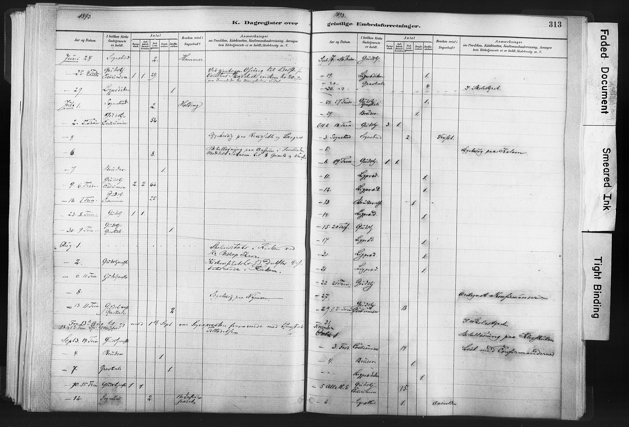 Ministerialprotokoller, klokkerbøker og fødselsregistre - Nord-Trøndelag, SAT/A-1458/749/L0474: Parish register (official) no. 749A08, 1887-1903, p. 313