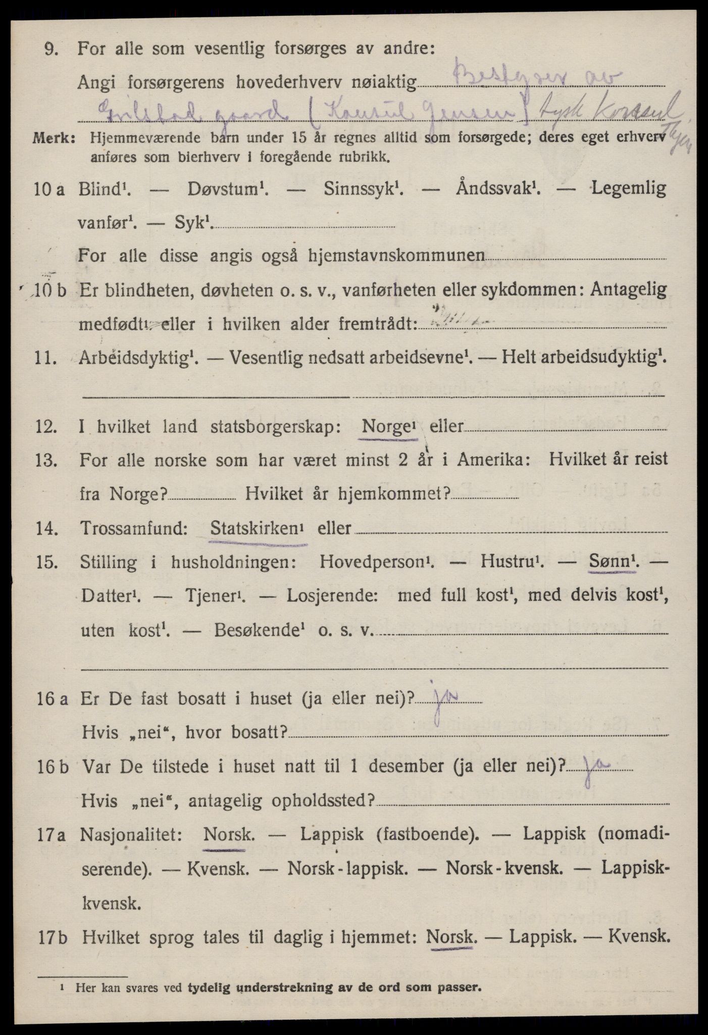 SAT, 1920 census for Strinda, 1920, p. 10275