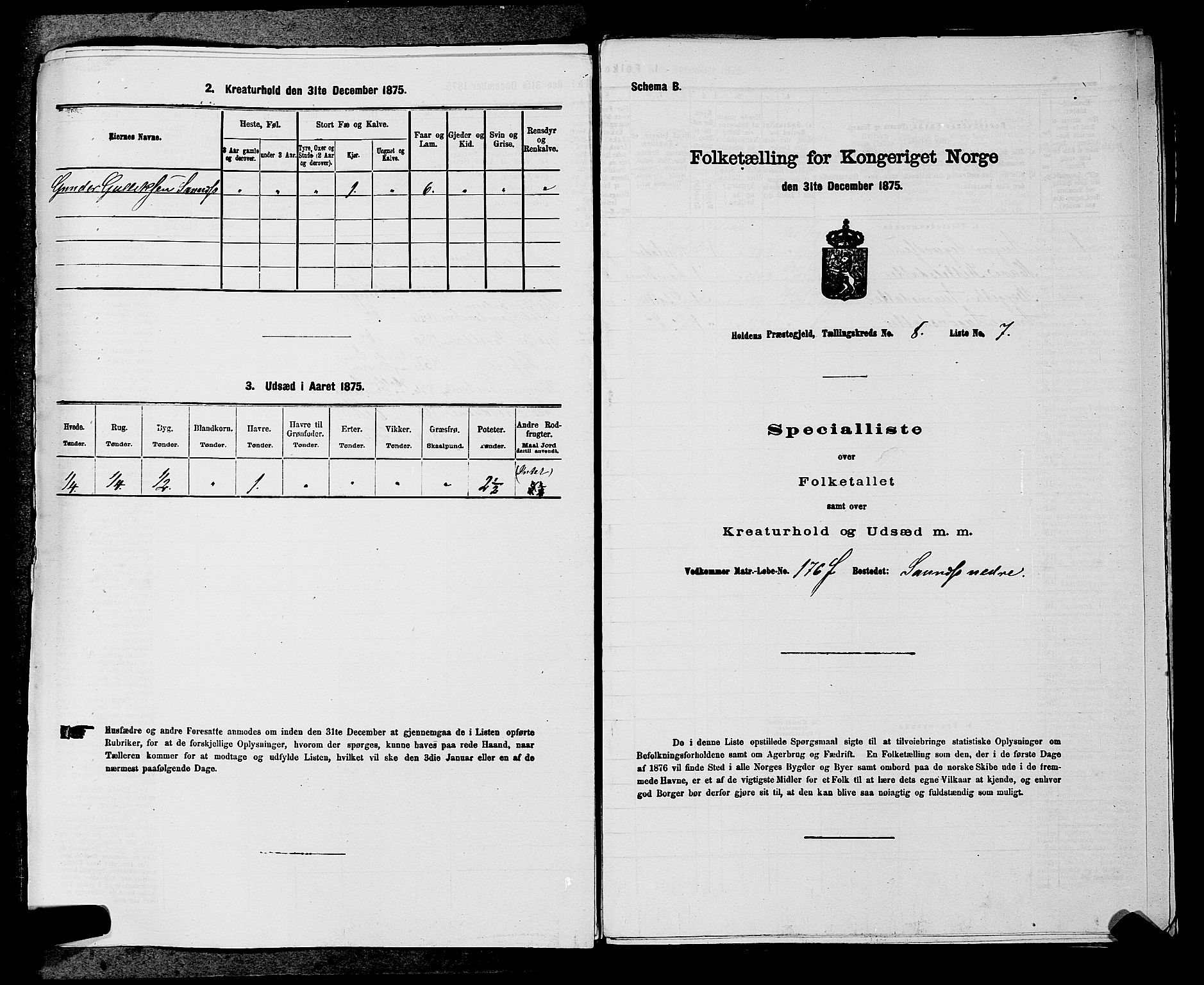 SAKO, 1875 census for 0819P Holla, 1875, p. 974