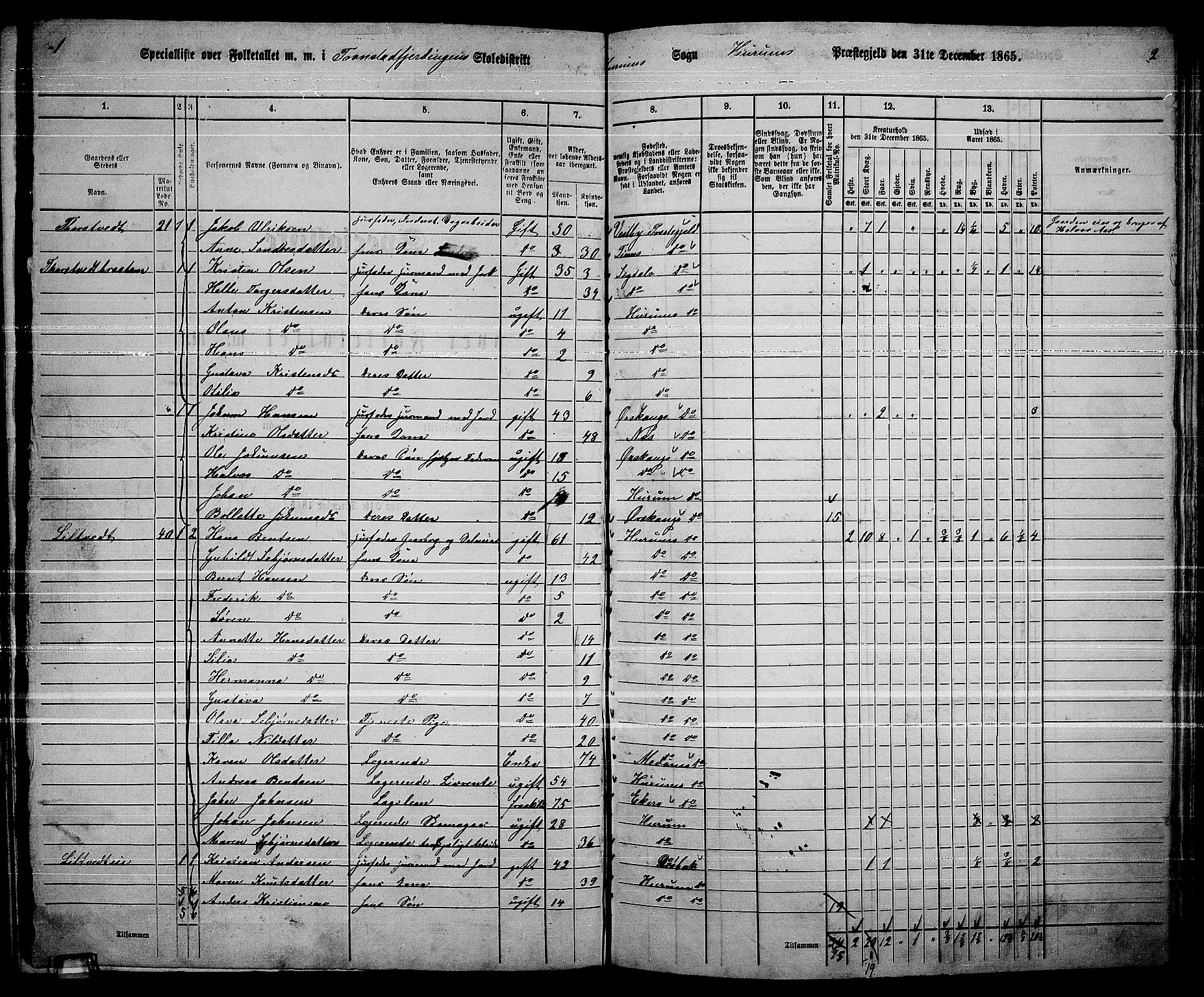 RA, 1865 census for Hurum, 1865, p. 29