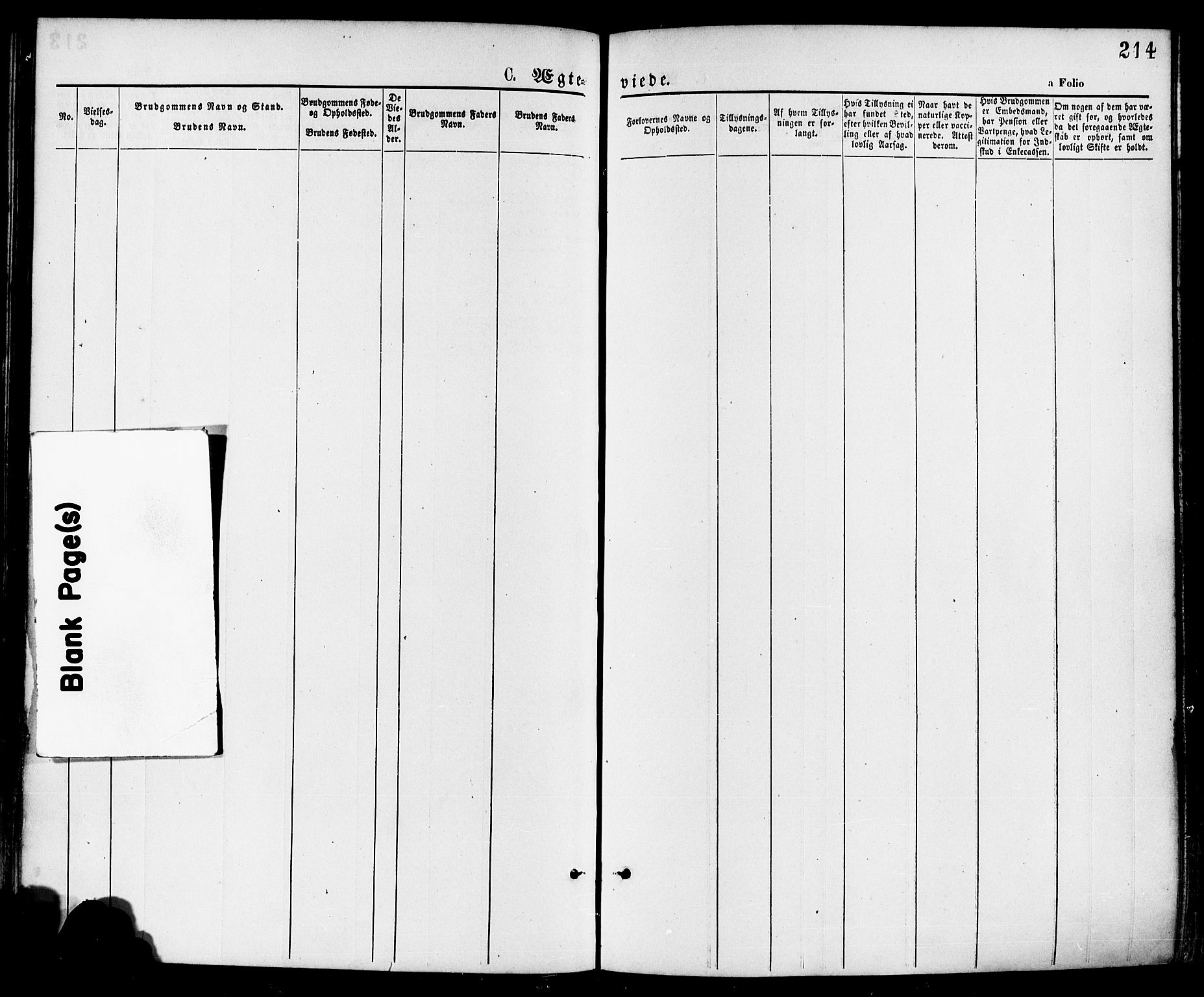 Håland sokneprestkontor, AV/SAST-A-101802/001/30BA/L0009: Parish register (official) no. A 8, 1871-1882, p. 214