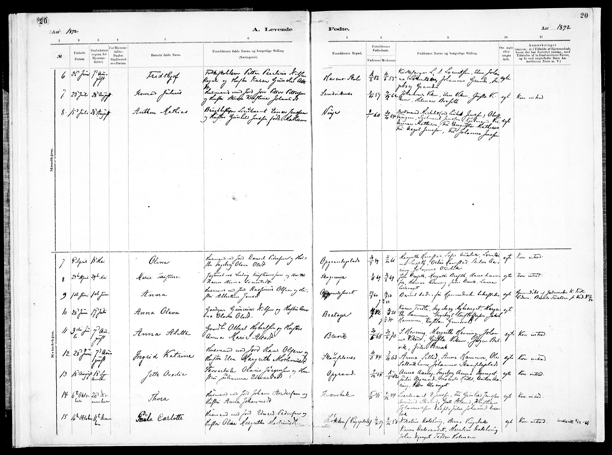 Ministerialprotokoller, klokkerbøker og fødselsregistre - Nord-Trøndelag, SAT/A-1458/733/L0325: Parish register (official) no. 733A04, 1884-1908, p. 20