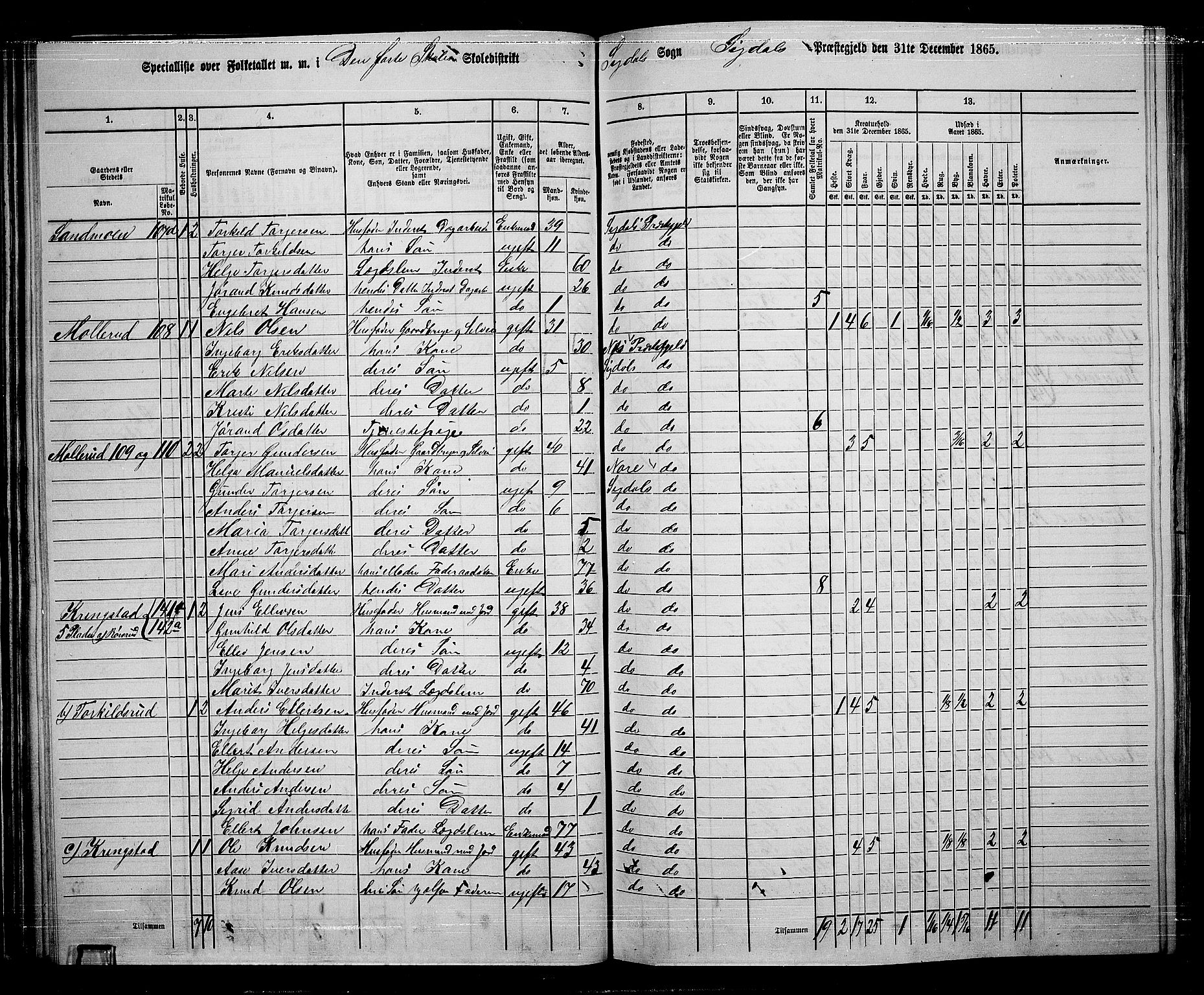 RA, 1865 census for Sigdal, 1865, p. 78