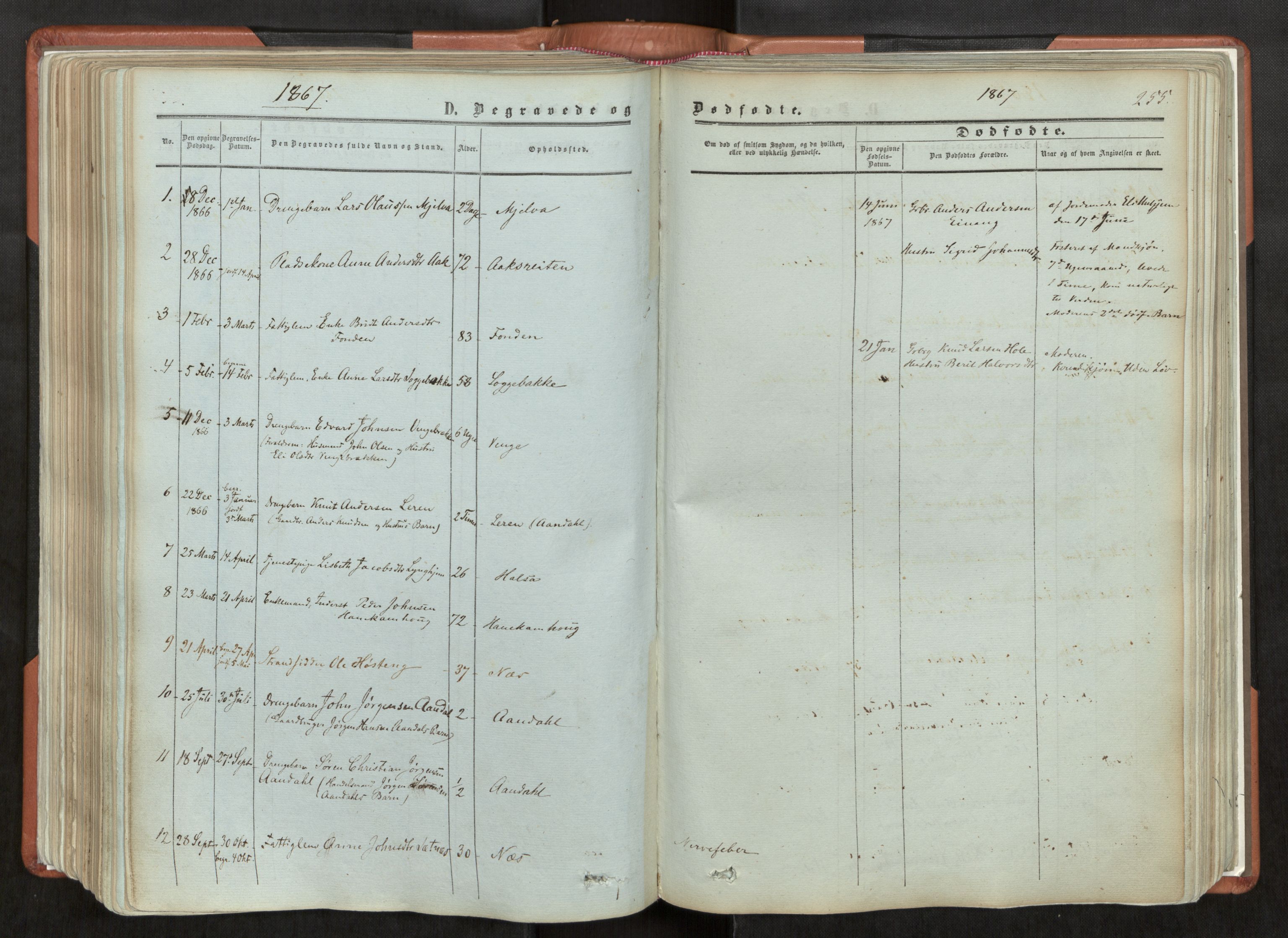 Ministerialprotokoller, klokkerbøker og fødselsregistre - Møre og Romsdal, AV/SAT-A-1454/544/L0572: Parish register (official) no. 544A05, 1854-1886, p. 255