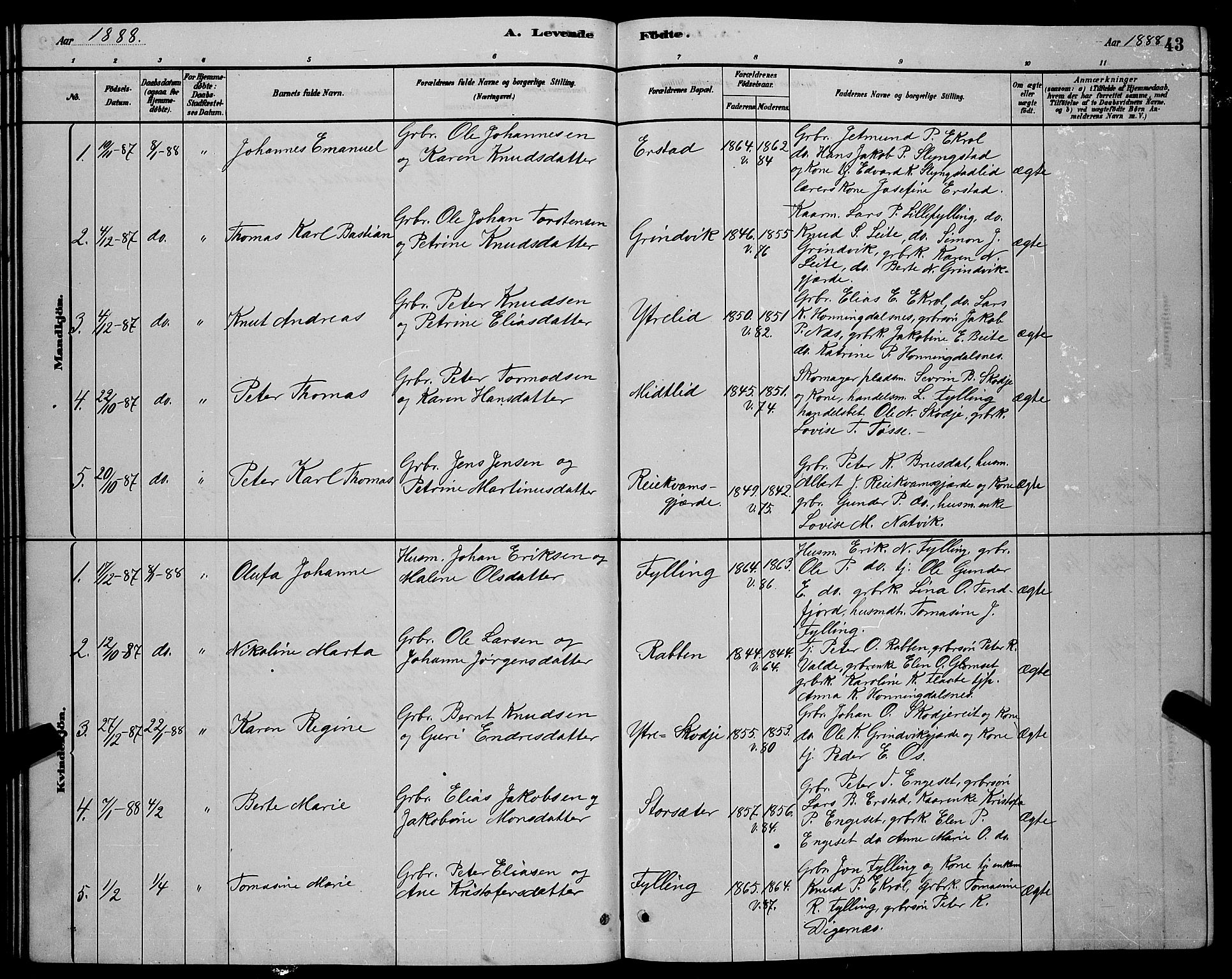 Ministerialprotokoller, klokkerbøker og fødselsregistre - Møre og Romsdal, AV/SAT-A-1454/524/L0365: Parish register (copy) no. 524C06, 1880-1899, p. 43