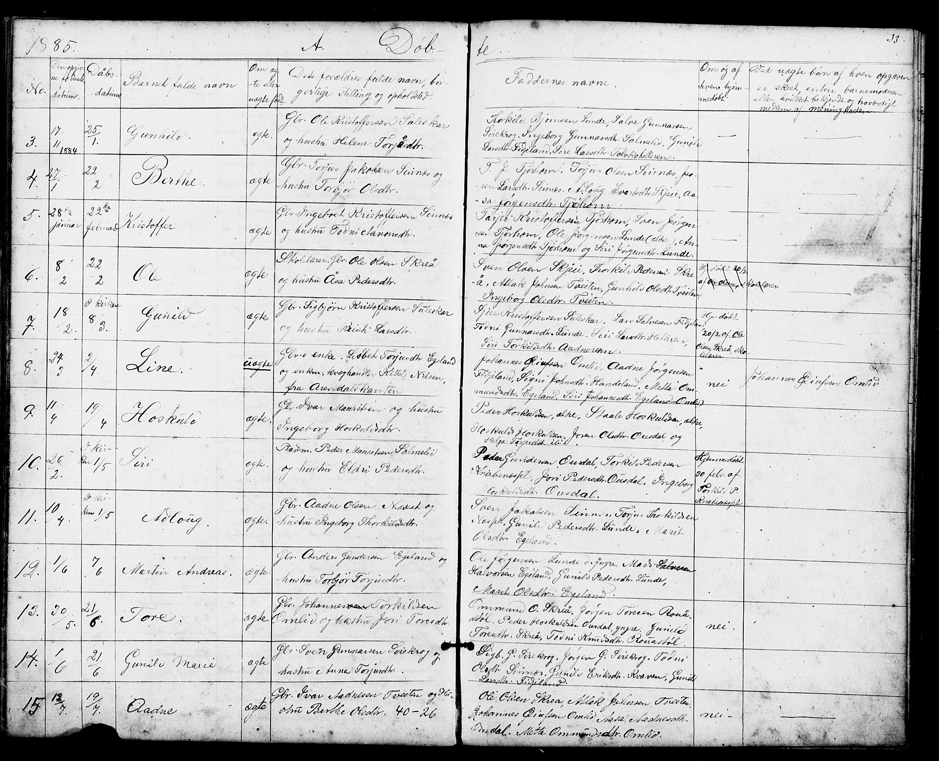 Sirdal sokneprestkontor, AV/SAK-1111-0036/F/Fb/Fba/L0001: Parish register (copy) no. B 1, 1872-1905, p. 33