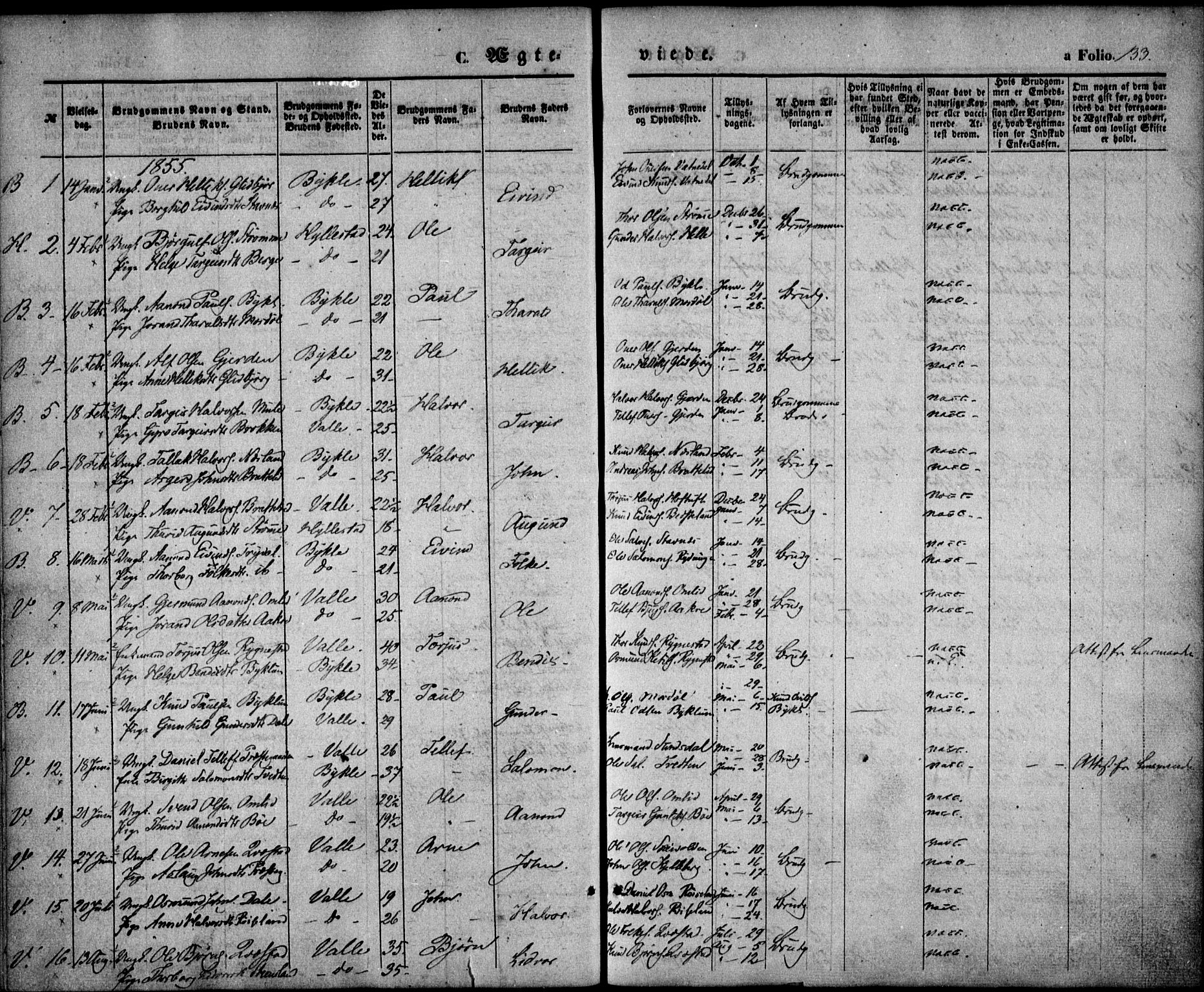 Valle sokneprestkontor, SAK/1111-0044/F/Fa/Fac/L0007: Parish register (official) no. A 7, 1854-1868, p. 133