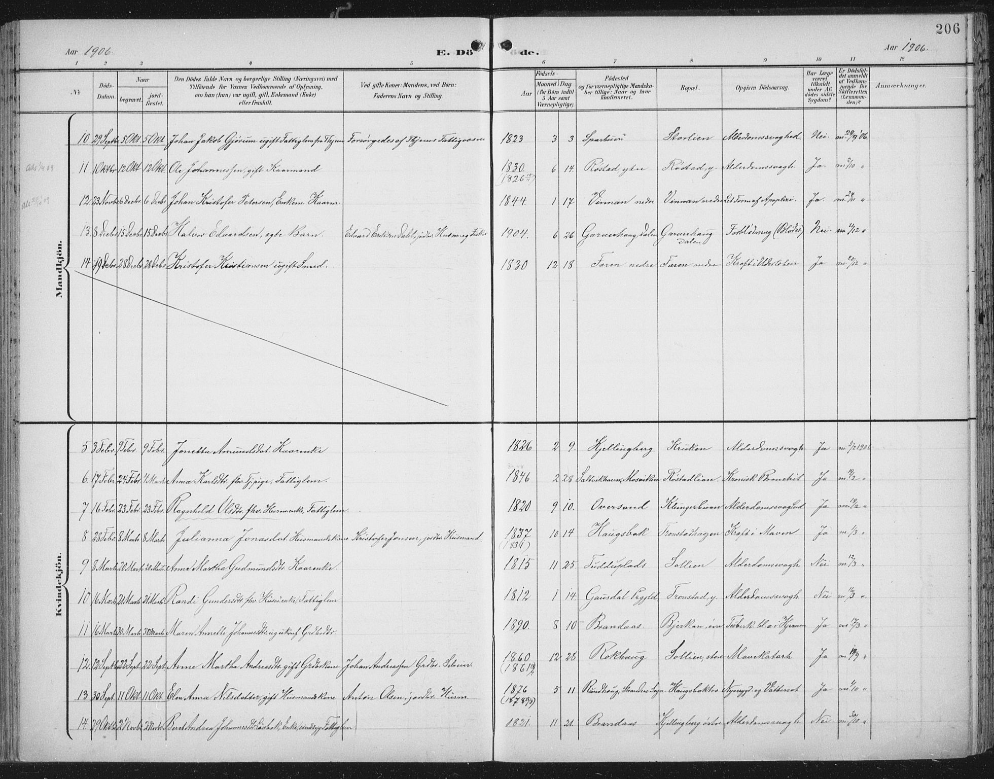 Ministerialprotokoller, klokkerbøker og fødselsregistre - Nord-Trøndelag, SAT/A-1458/701/L0011: Parish register (official) no. 701A11, 1899-1915, p. 206