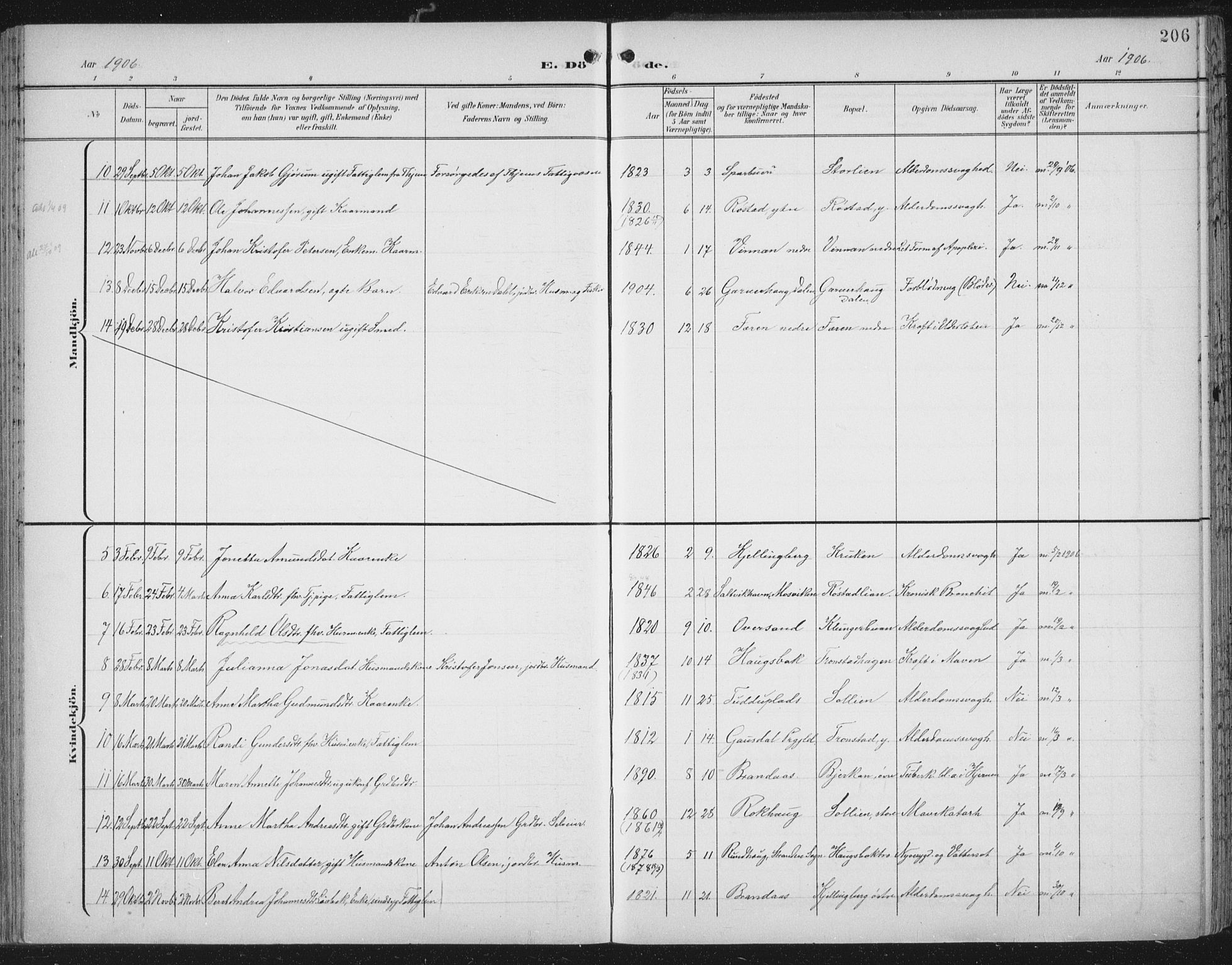 Ministerialprotokoller, klokkerbøker og fødselsregistre - Nord-Trøndelag, AV/SAT-A-1458/701/L0011: Parish register (official) no. 701A11, 1899-1915, p. 206