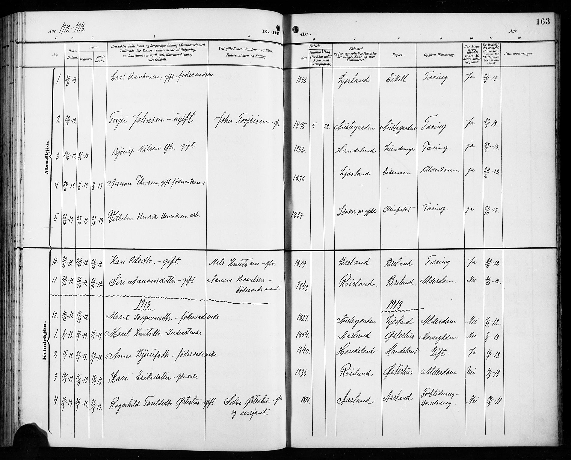 Åseral sokneprestkontor, AV/SAK-1111-0051/F/Fb/L0003: Parish register (copy) no. B 3, 1900-1919, p. 163