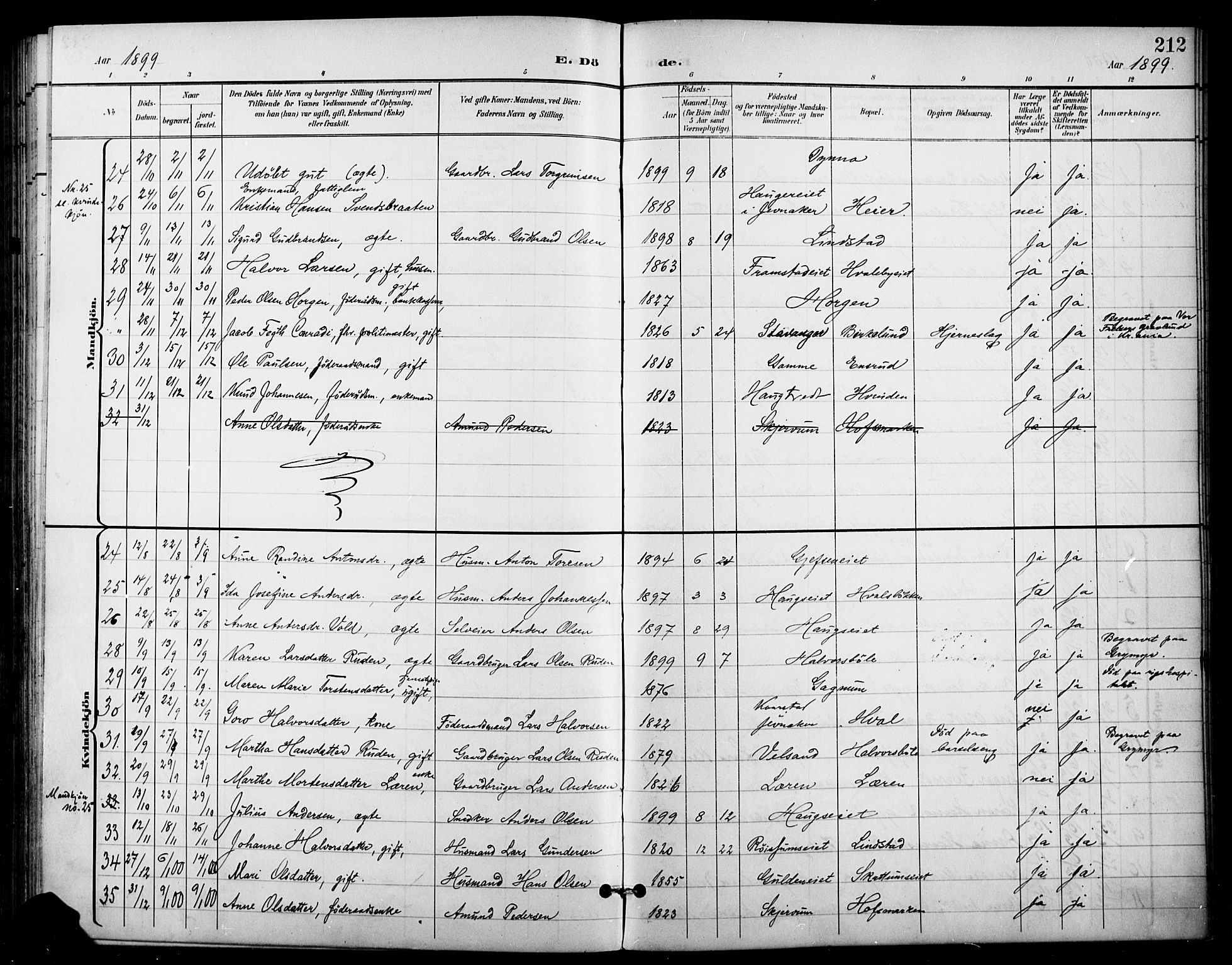 Gran prestekontor, AV/SAH-PREST-112/H/Ha/Haa/L0019: Parish register (official) no. 19, 1898-1907, p. 212