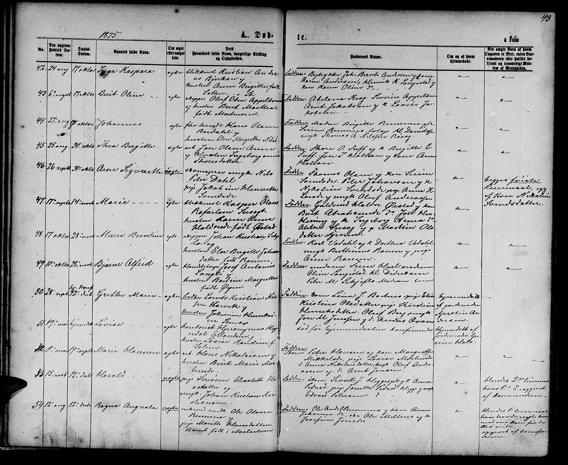 Ministerialprotokoller, klokkerbøker og fødselsregistre - Nord-Trøndelag, SAT/A-1458/739/L0373: Parish register (copy) no. 739C01, 1865-1882, p. 43