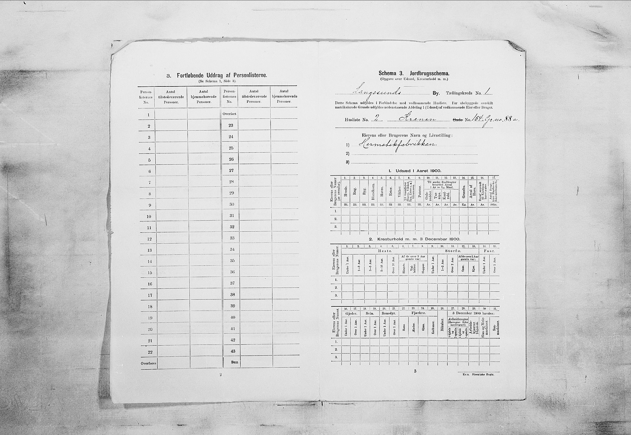 SAKO, 1900 census for Langesund, 1900, p. 19