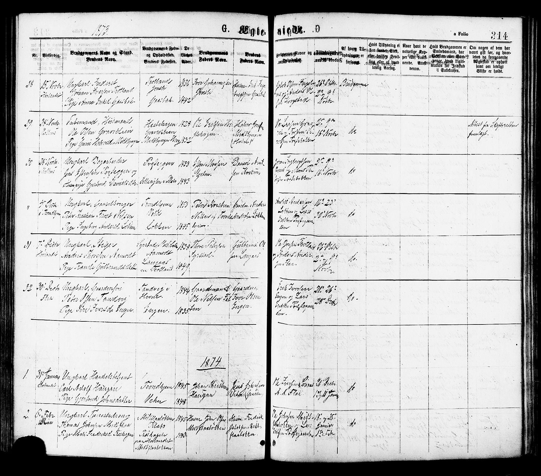 Ministerialprotokoller, klokkerbøker og fødselsregistre - Sør-Trøndelag, SAT/A-1456/691/L1079: Parish register (official) no. 691A11, 1873-1886, p. 314