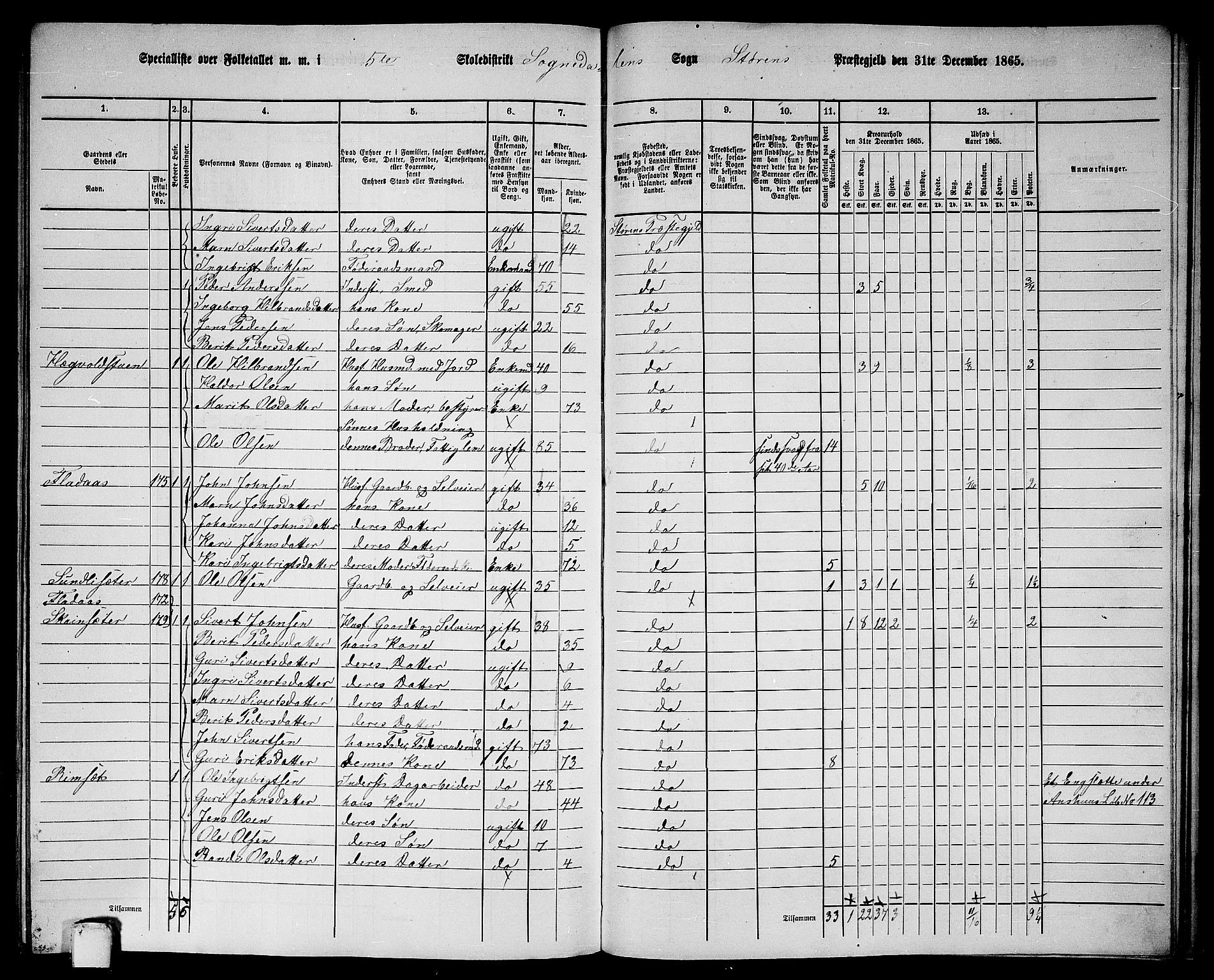 RA, 1865 census for Støren, 1865, p. 294