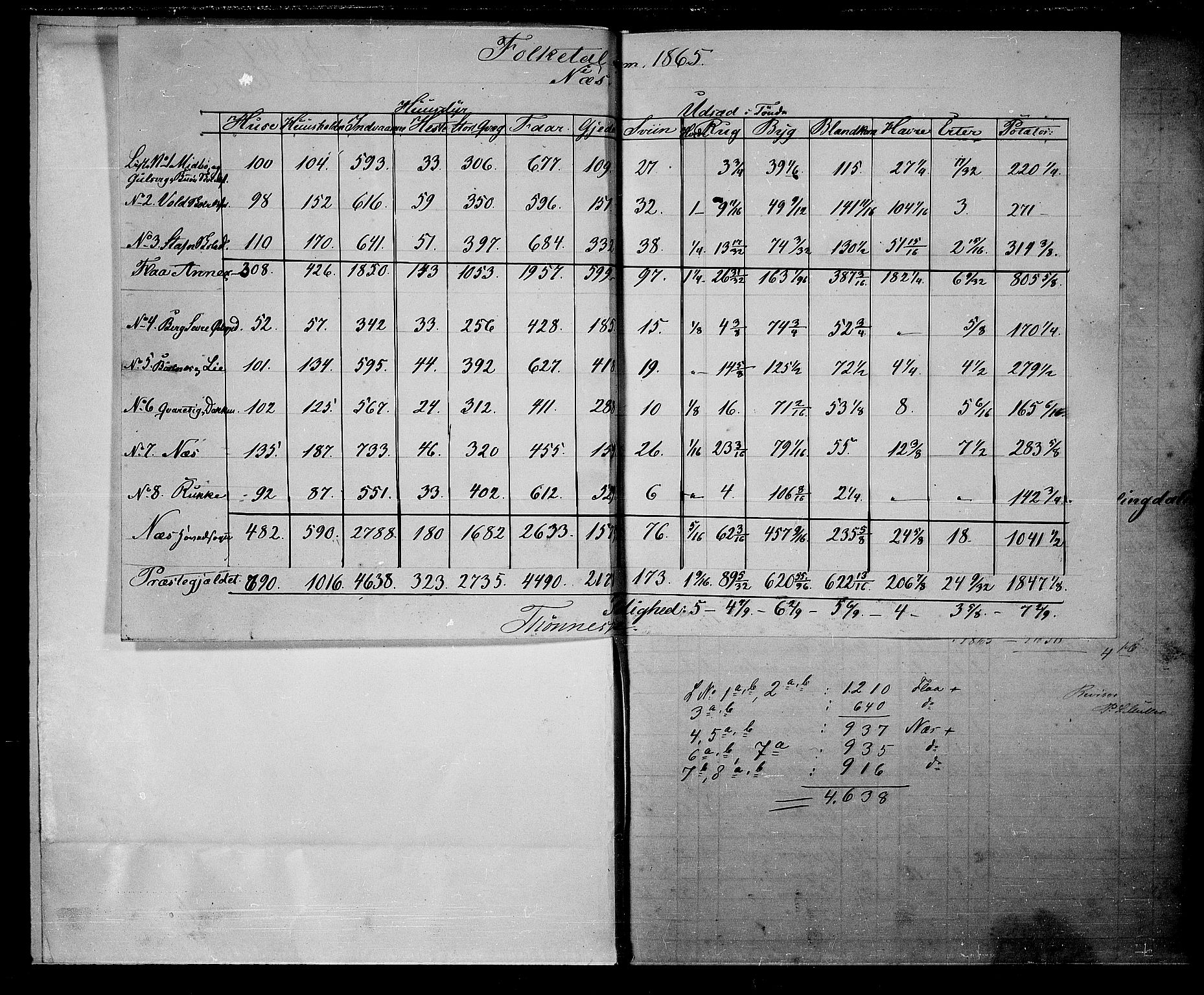 RA, 1865 census for Nes, 1865, p. 5