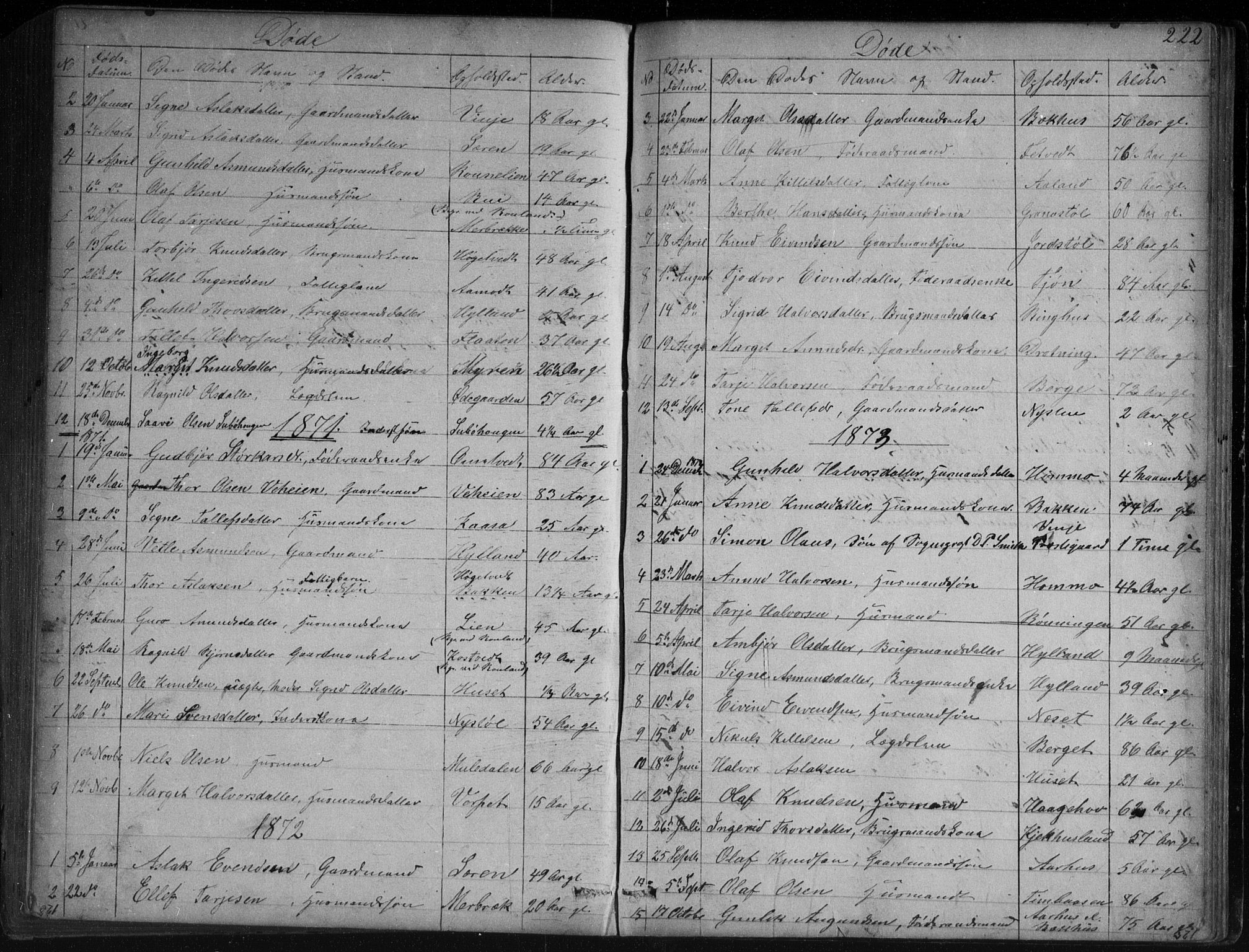 Vinje kirkebøker, SAKO/A-312/G/Ga/L0002: Parish register (copy) no. I 2, 1849-1893, p. 222