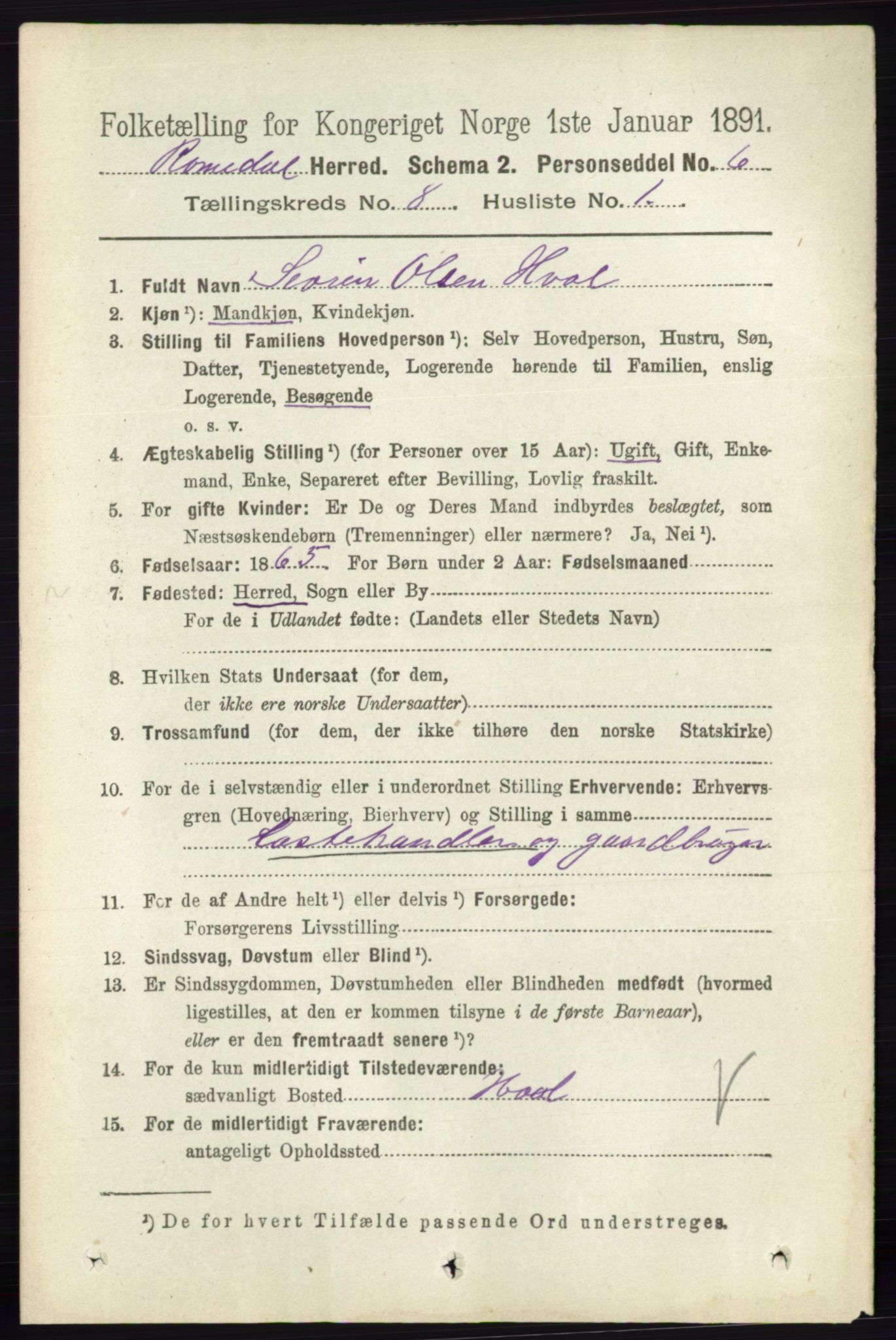 RA, 1891 census for 0416 Romedal, 1891, p. 3969