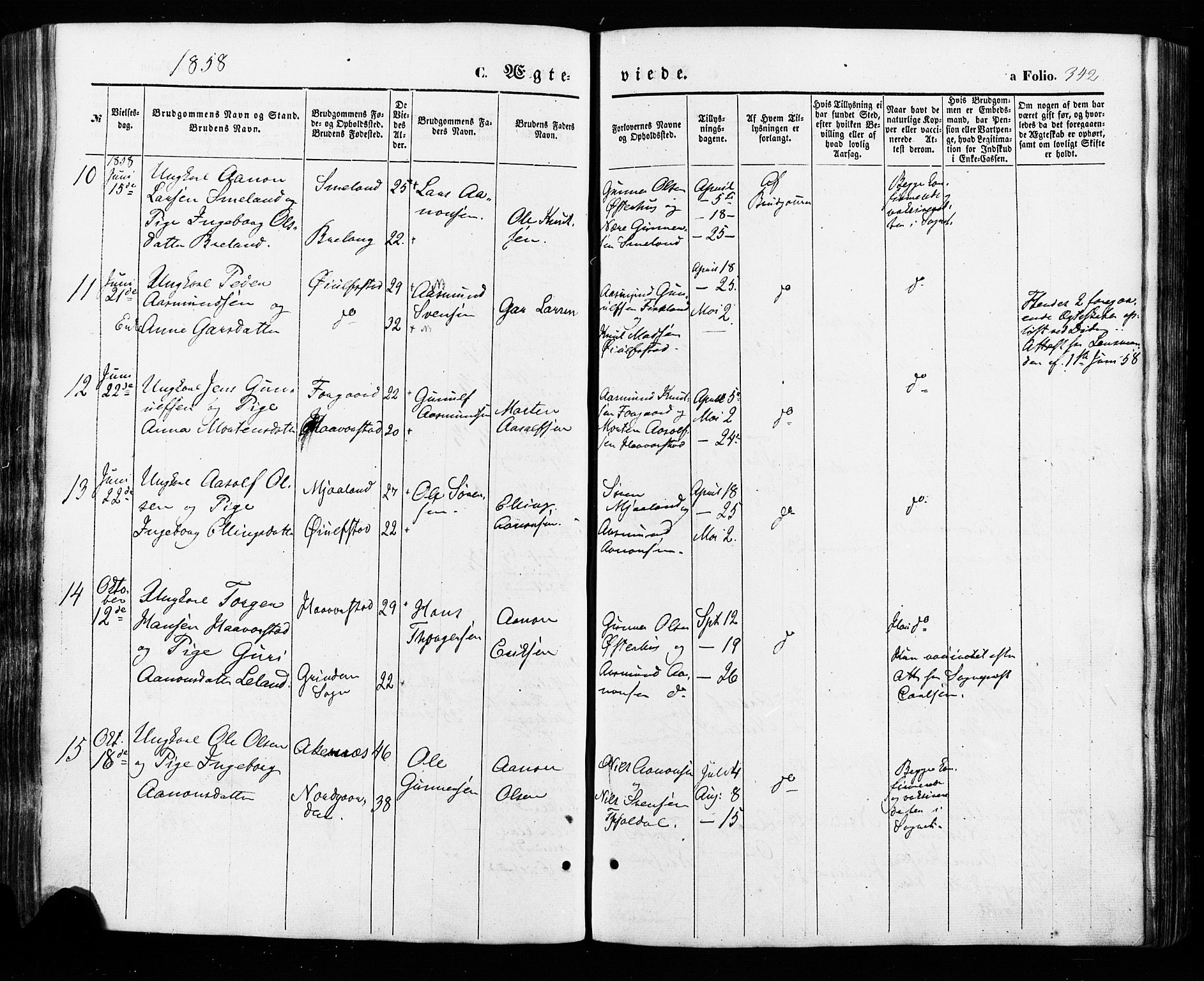 Åseral sokneprestkontor, SAK/1111-0051/F/Fa/L0002: Parish register (official) no. A 2, 1854-1884, p. 342