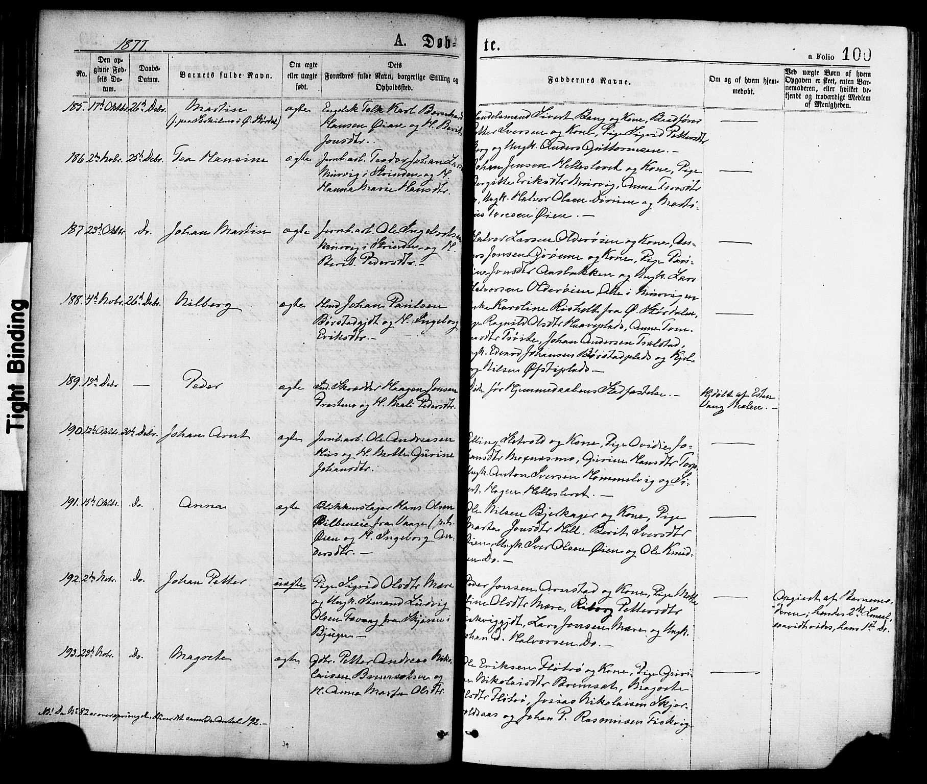 Ministerialprotokoller, klokkerbøker og fødselsregistre - Nord-Trøndelag, SAT/A-1458/709/L0076: Parish register (official) no. 709A16, 1871-1879, p. 100