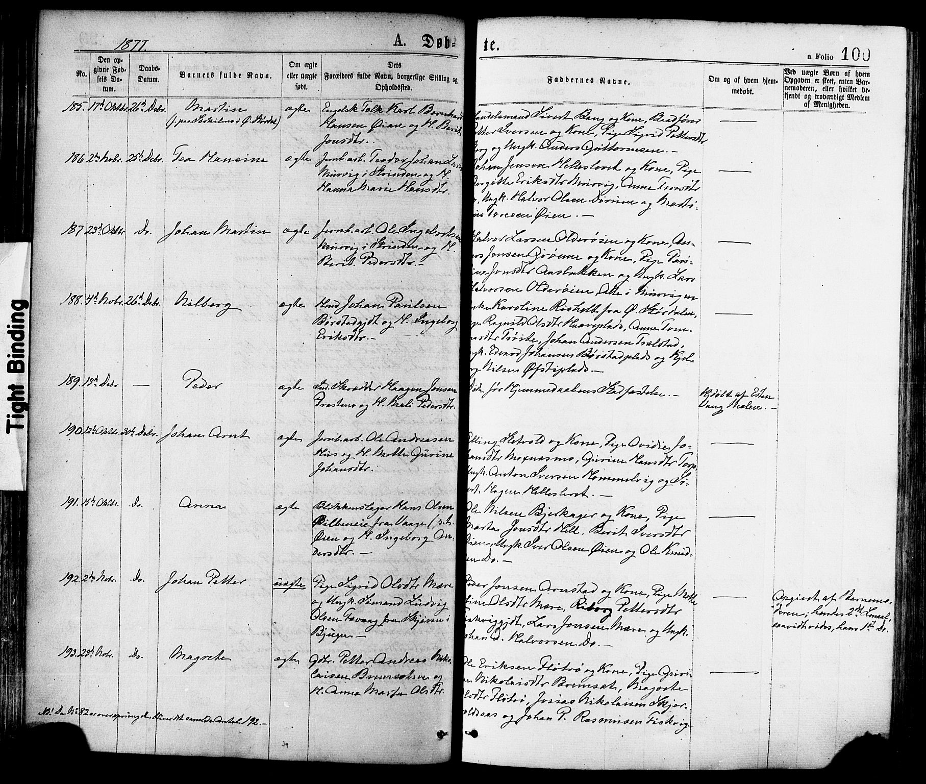 Ministerialprotokoller, klokkerbøker og fødselsregistre - Nord-Trøndelag, AV/SAT-A-1458/709/L0076: Parish register (official) no. 709A16, 1871-1879, p. 100