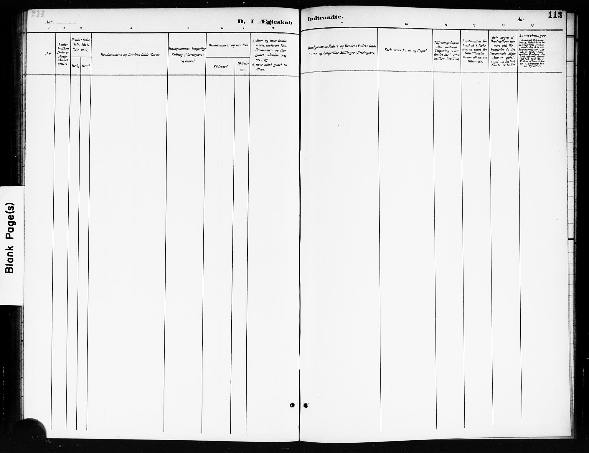 Nes prestekontor Kirkebøker, AV/SAO-A-10410/G/Gc/L0001: Parish register (copy) no. III 1, 1901-1917, p. 113