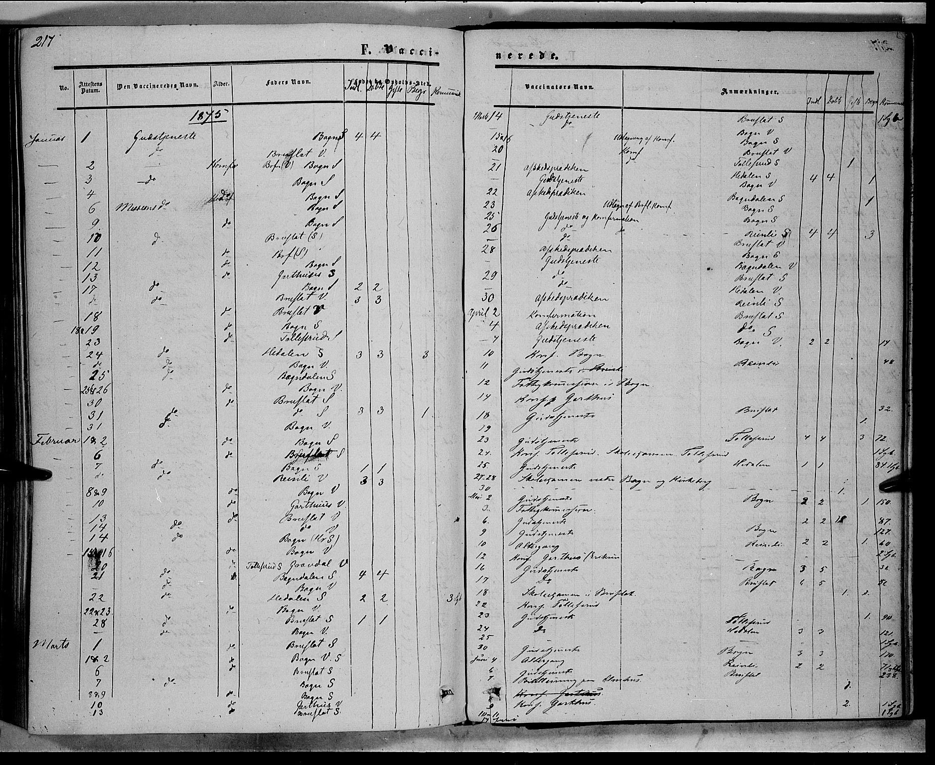 Sør-Aurdal prestekontor, SAH/PREST-128/H/Ha/Haa/L0007: Parish register (official) no. 7, 1849-1876, p. 217
