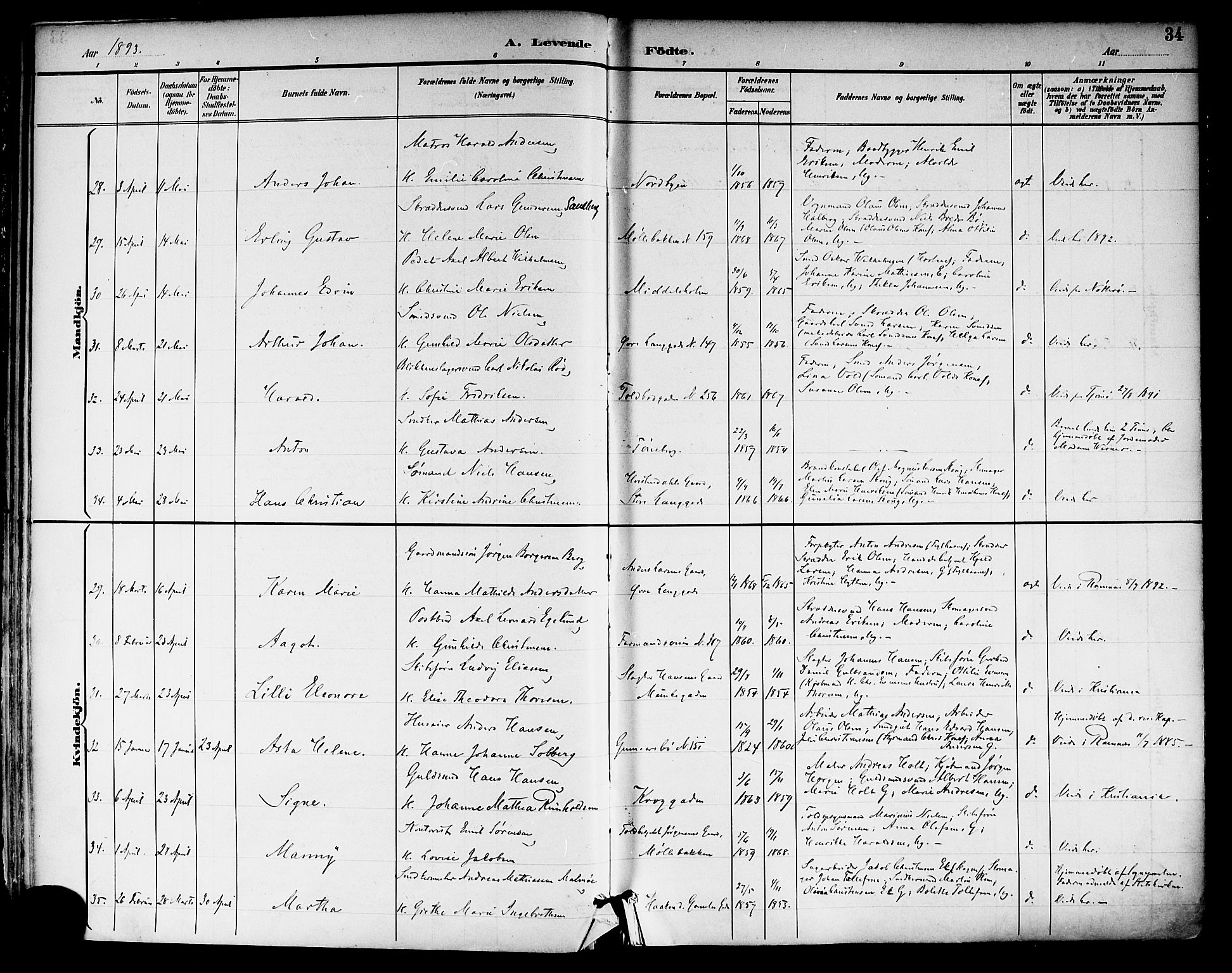 Tønsberg kirkebøker, SAKO/A-330/F/Fa/L0012: Parish register (official) no. I 12, 1891-1899, p. 34