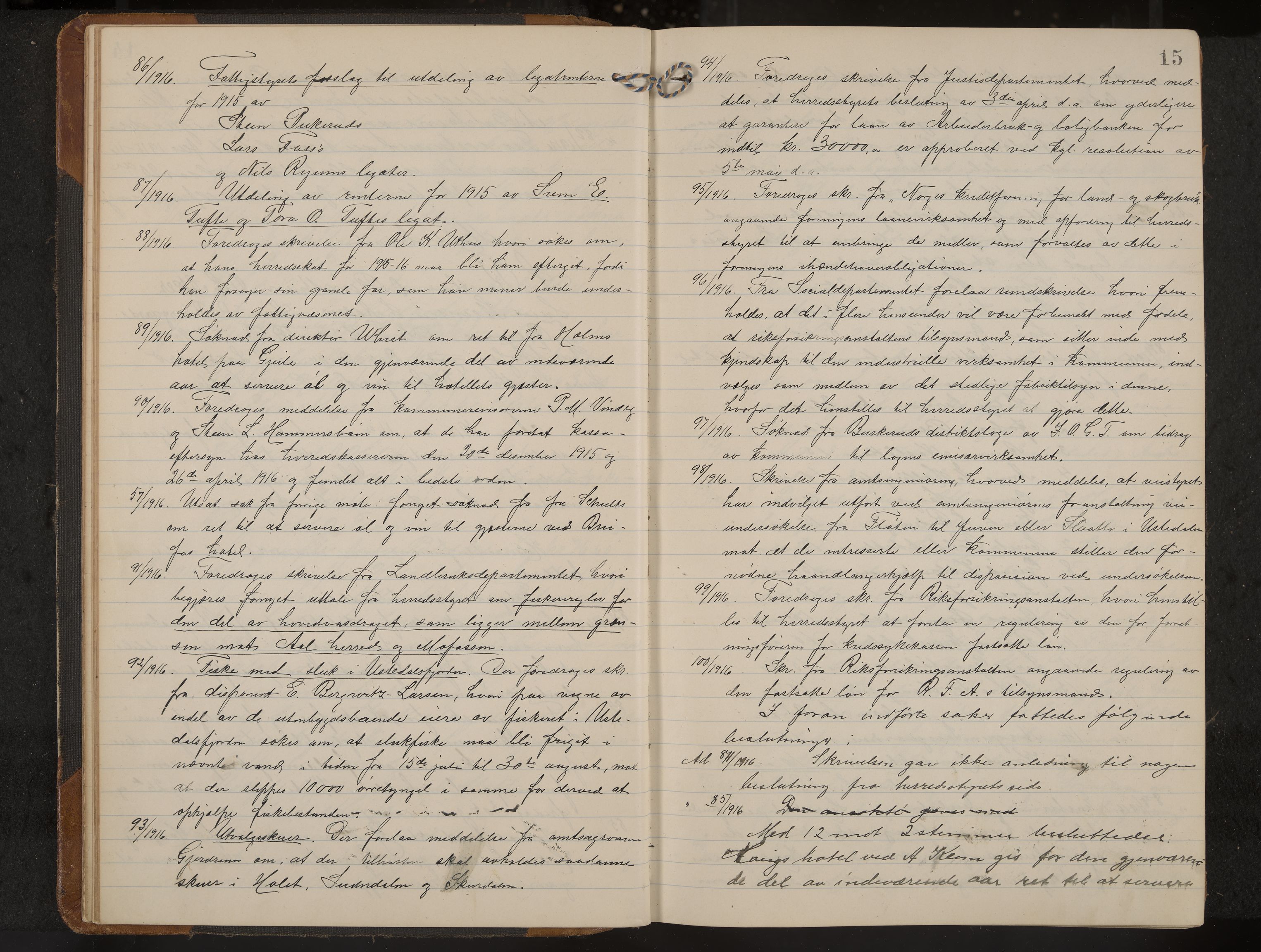 Hol formannskap og sentraladministrasjon, IKAK/0620021-1/A/L0006: Møtebok, 1916-1922, p. 15
