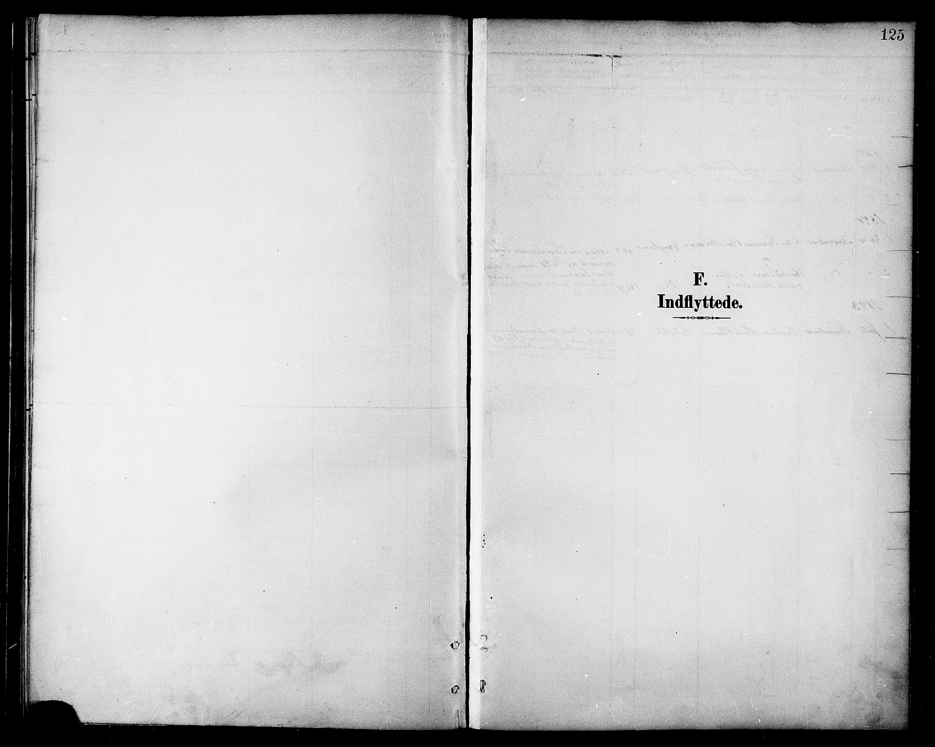 Ministerialprotokoller, klokkerbøker og fødselsregistre - Nordland, SAT/A-1459/865/L0924: Parish register (official) no. 865A02, 1885-1896, p. 125