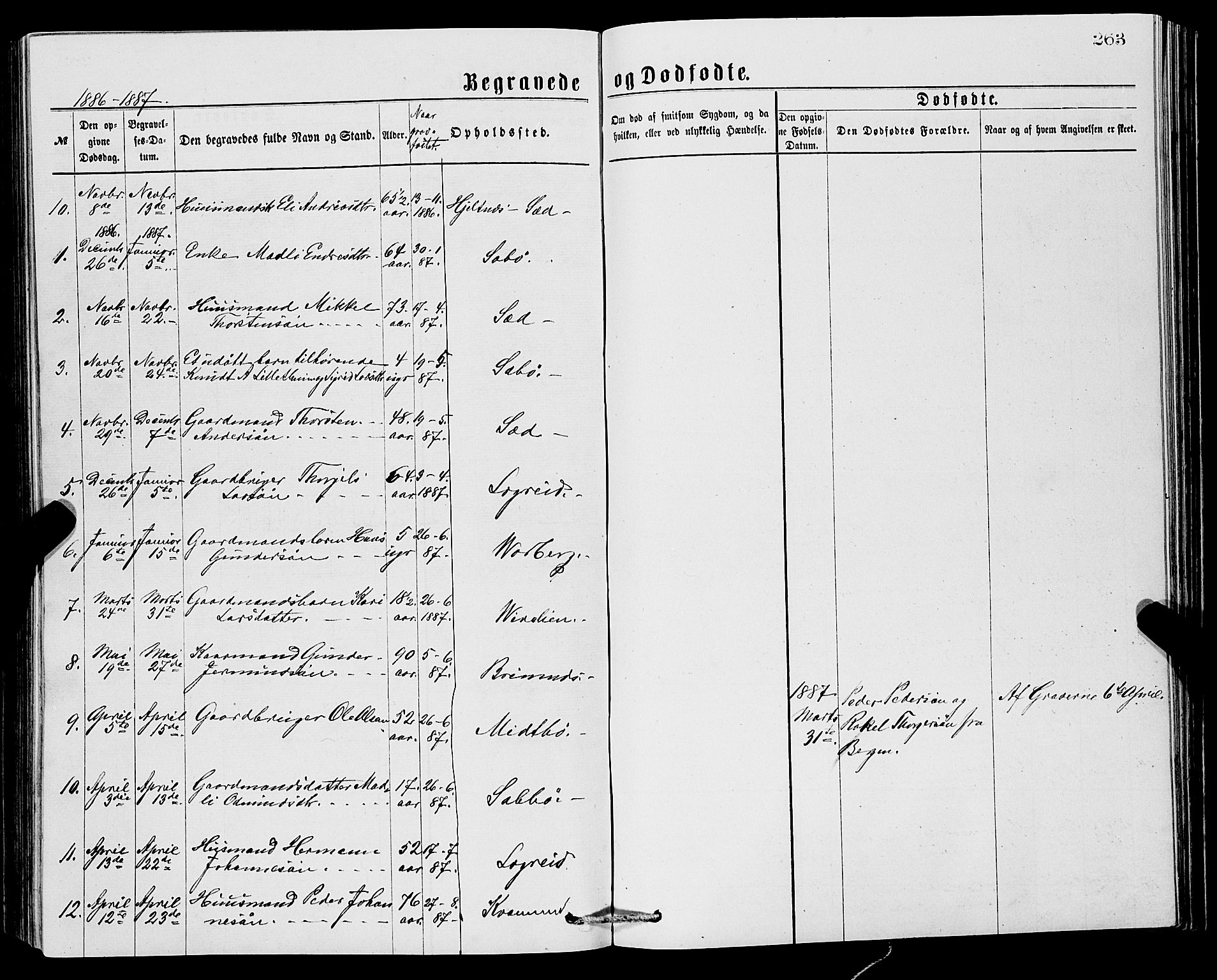 Ullensvang sokneprestembete, SAB/A-78701/H/Hab: Parish register (copy) no. C 2, 1871-1899, p. 263