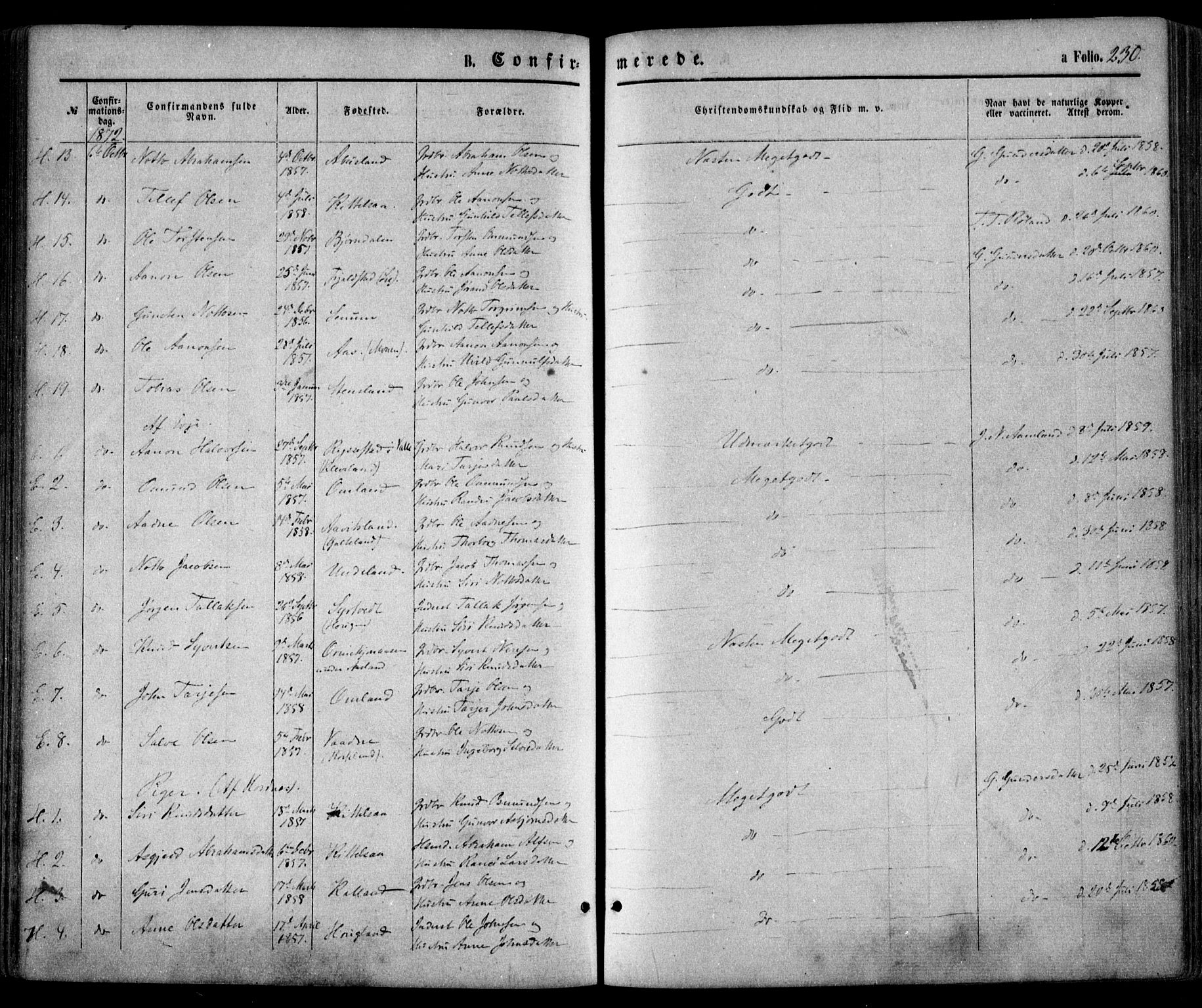 Evje sokneprestkontor, SAK/1111-0008/F/Fa/Faa/L0006: Parish register (official) no. A 6, 1866-1884, p. 230