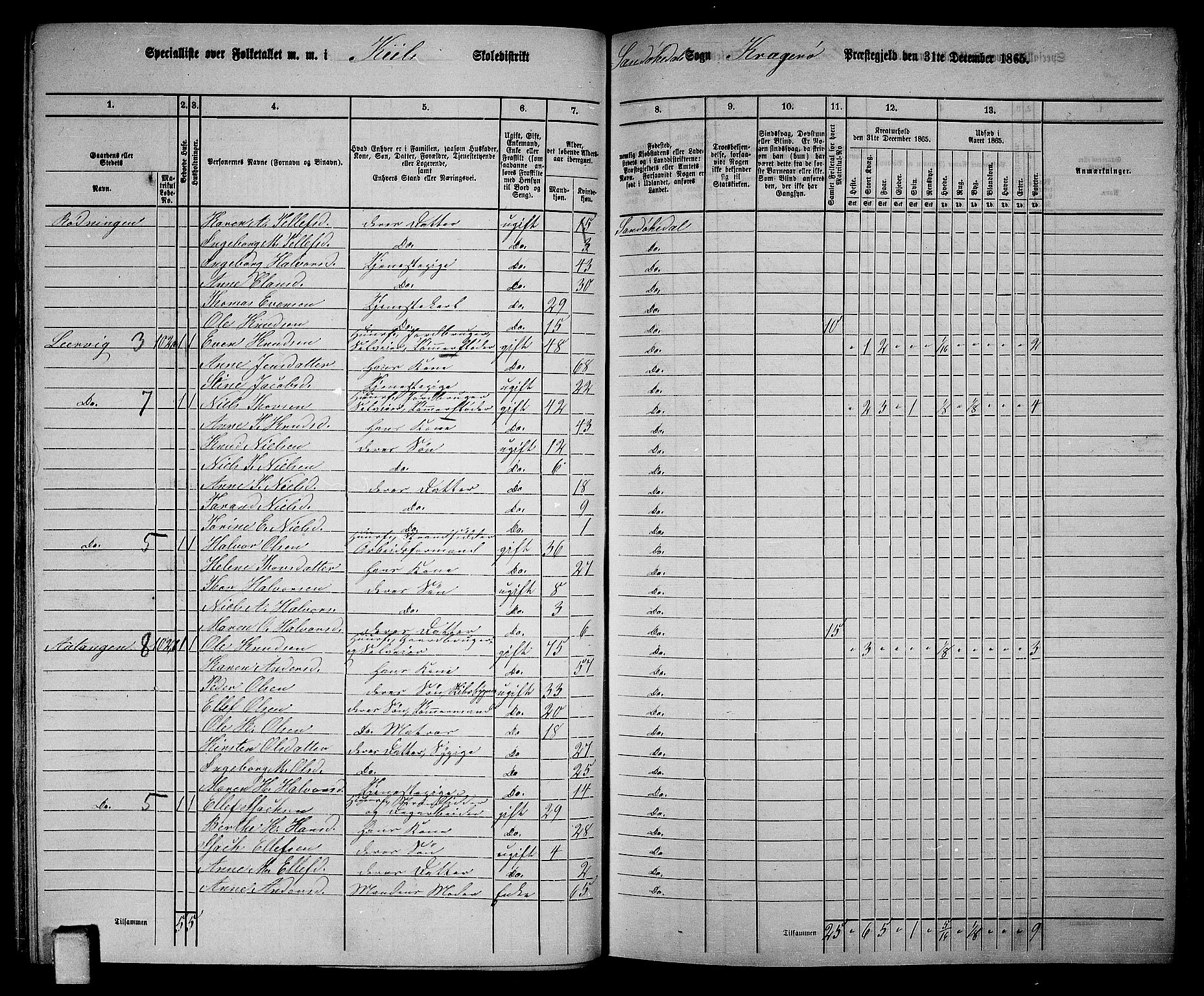 RA, 1865 census for Kragerø/Sannidal og Skåtøy, 1865, p. 60