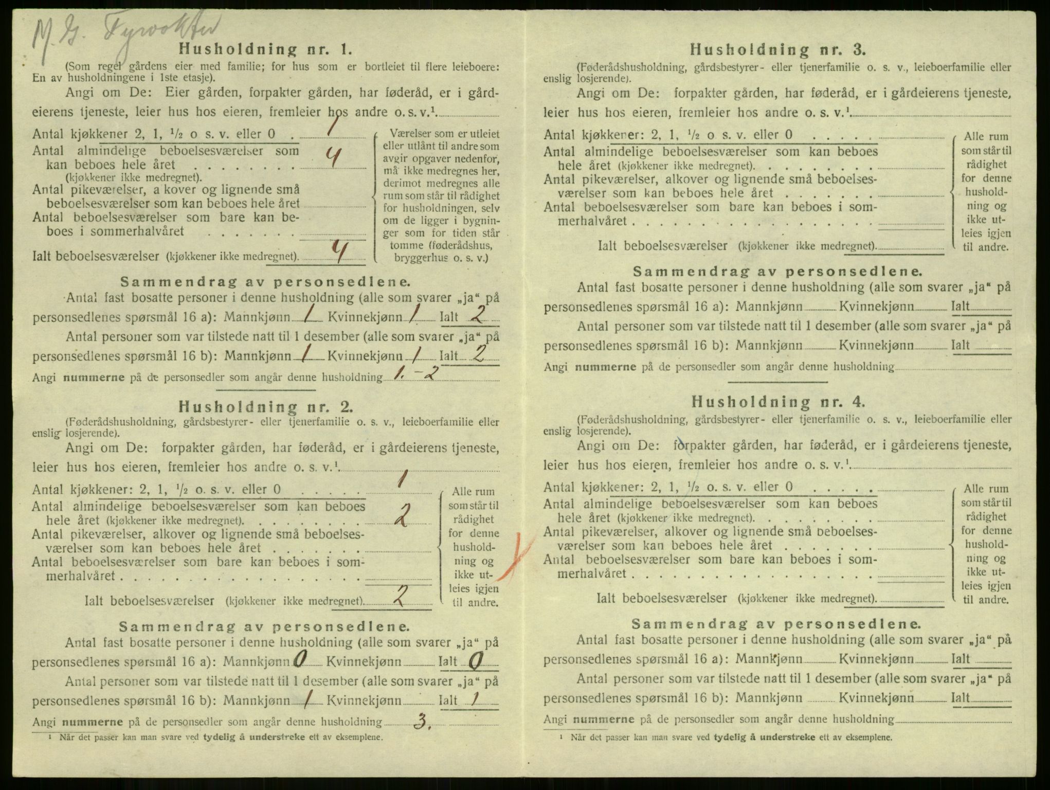 SAKO, 1920 census for Borre, 1920, p. 161