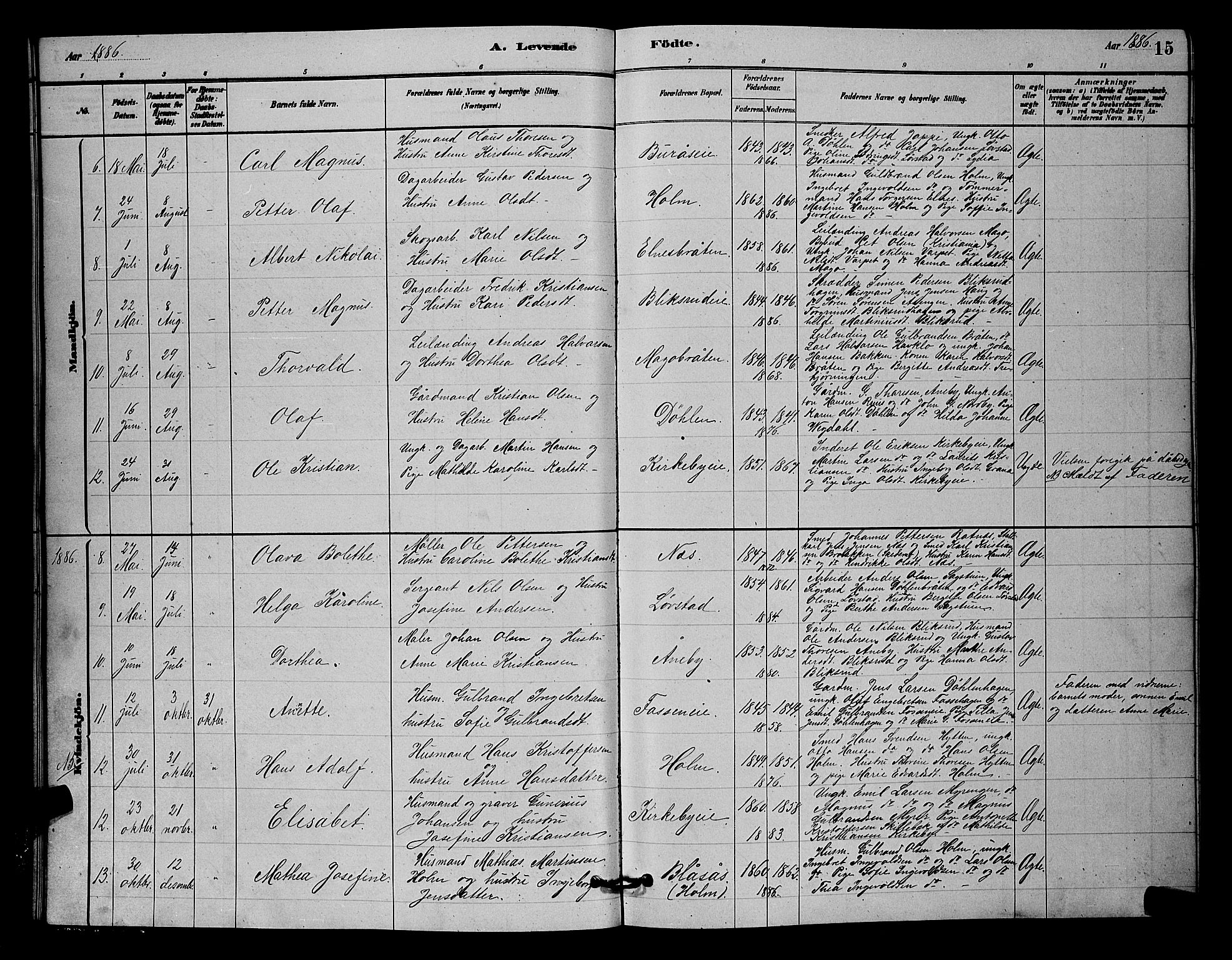 Nittedal prestekontor Kirkebøker, SAO/A-10365a/G/Gb/L0002: Parish register (copy) no. II 2, 1879-1901, p. 15