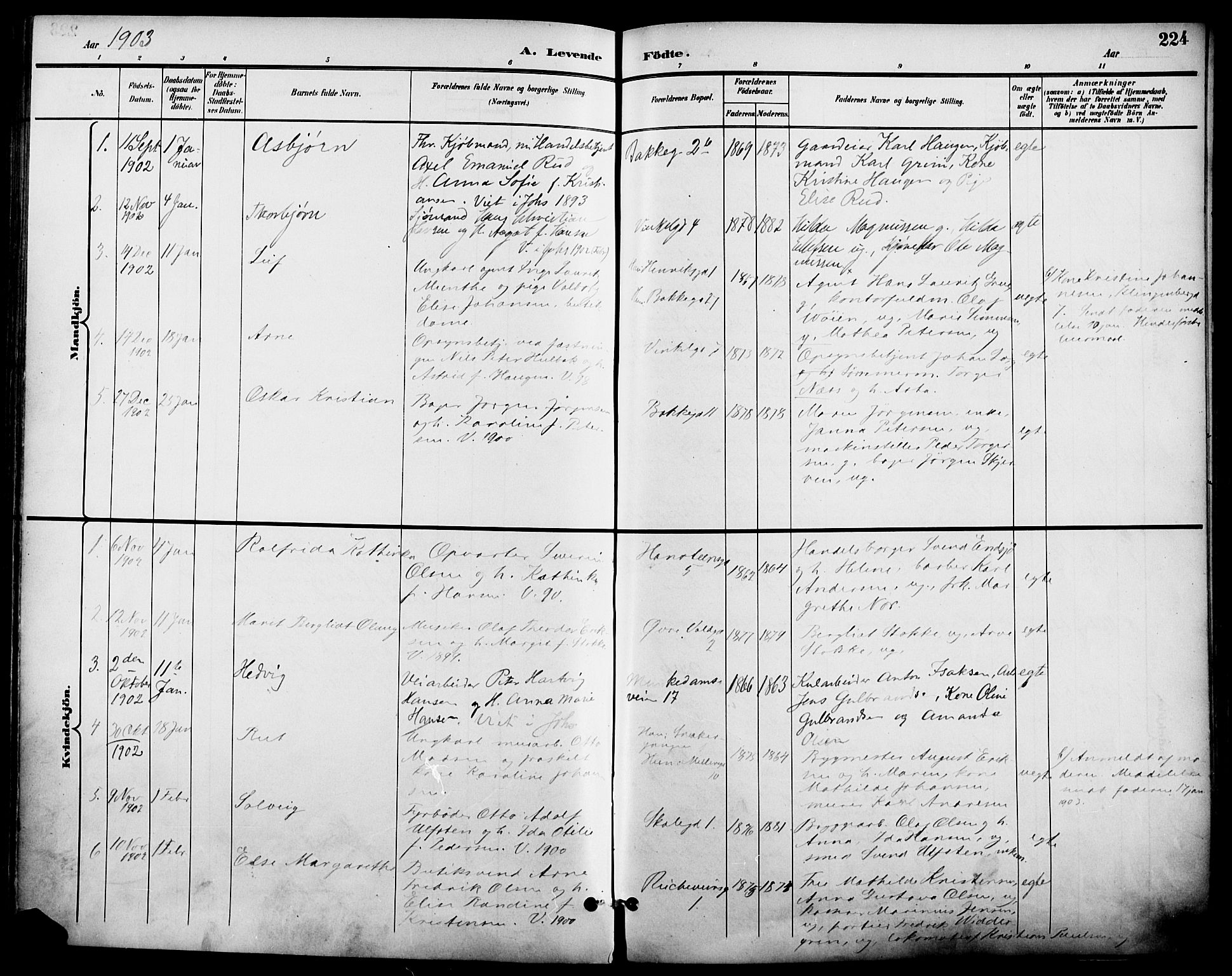 Johannes prestekontor Kirkebøker, SAO/A-10852/F/Fa/L0007: Parish register (official) no. 7, 1896-1905, p. 224