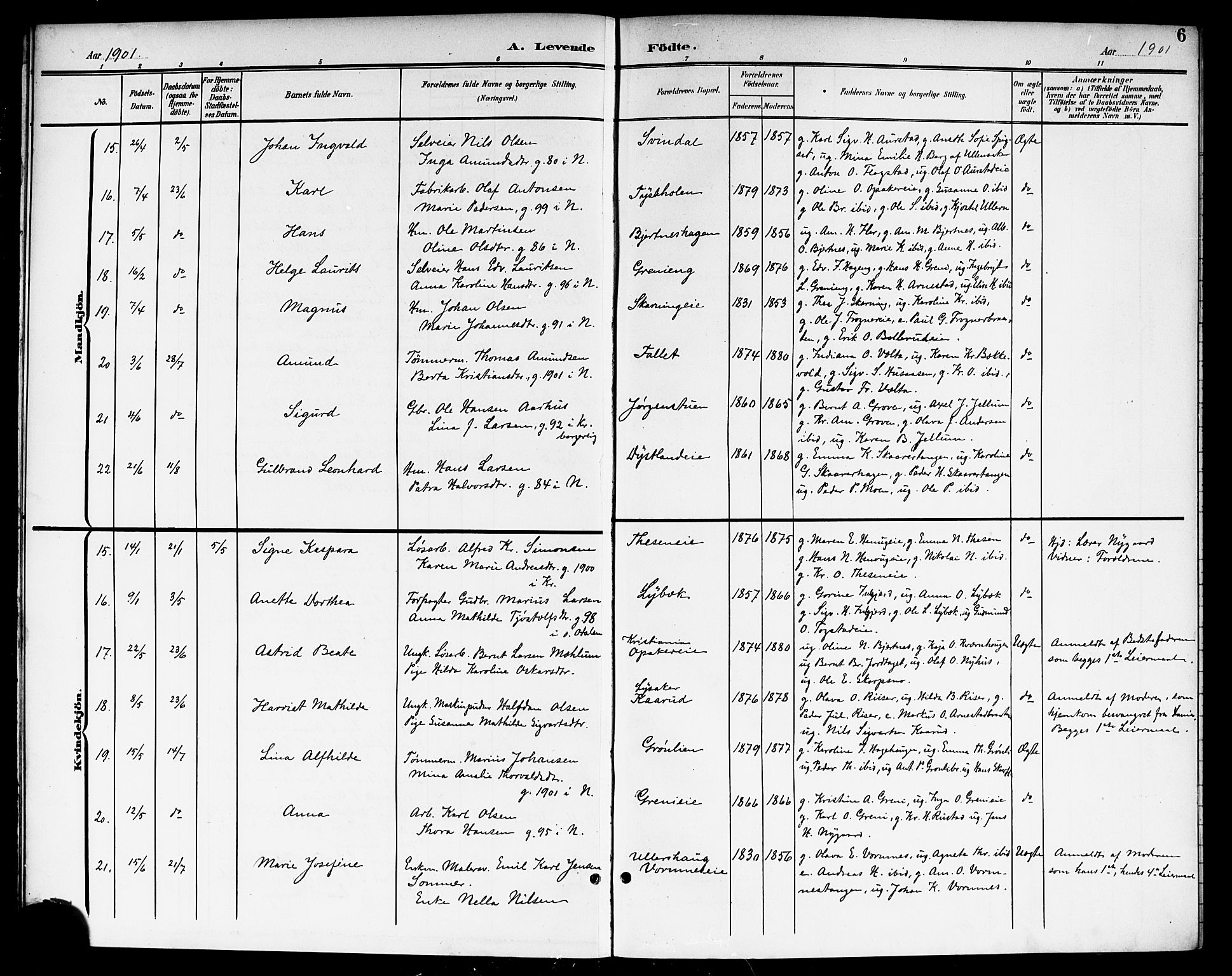 Nes prestekontor Kirkebøker, AV/SAO-A-10410/G/Ga/L0002: Parish register (copy) no. I 2, 1901-1912, p. 6