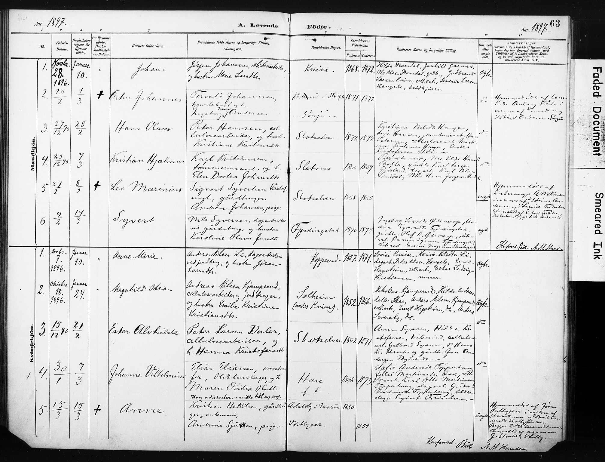 Eiker kirkebøker, SAKO/A-4/F/Fc/L0002: Parish register (official) no. III 2, 1889-1897, p. 63