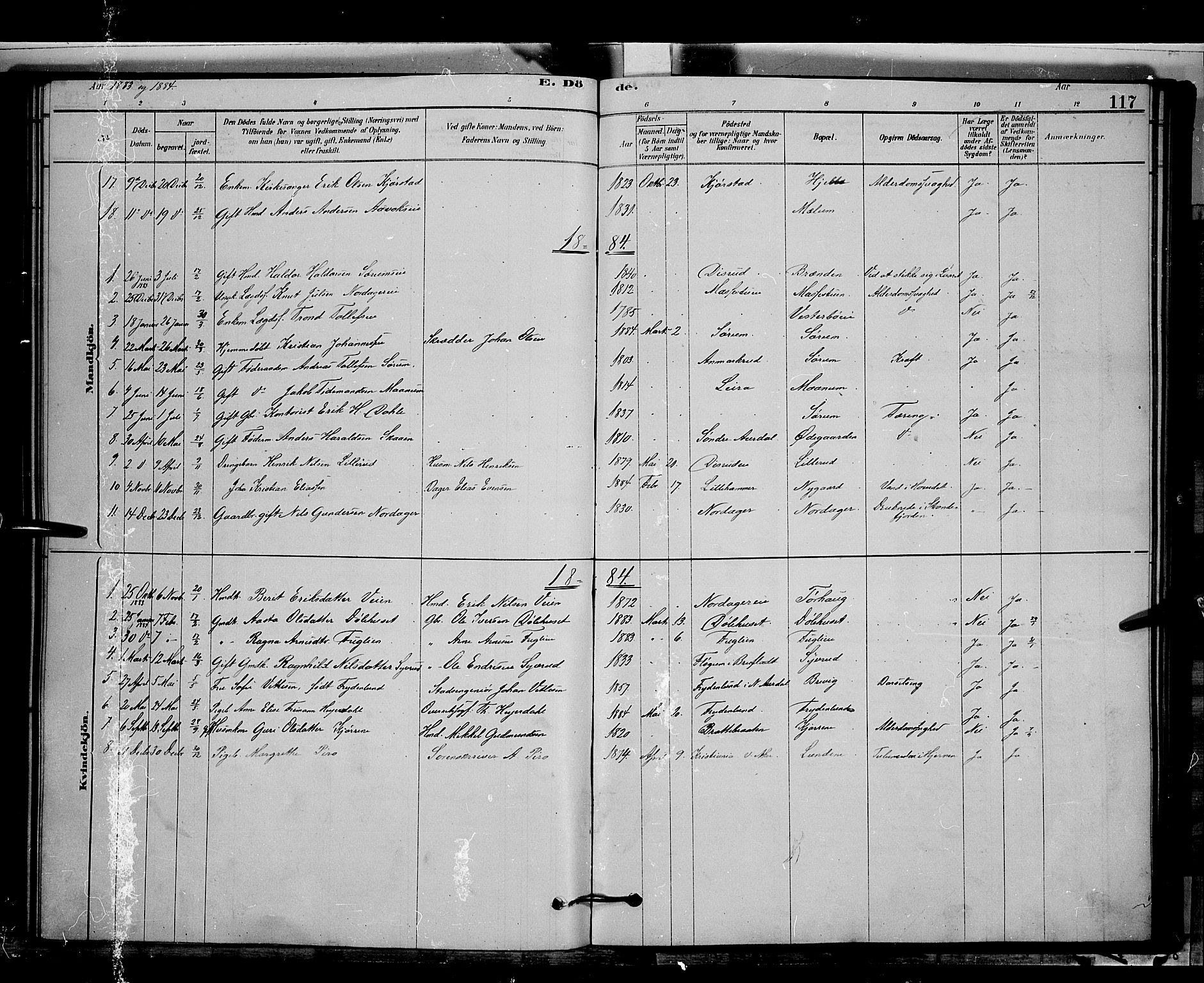 Nord-Aurdal prestekontor, SAH/PREST-132/H/Ha/Hab/L0006: Parish register (copy) no. 6, 1878-1892, p. 117