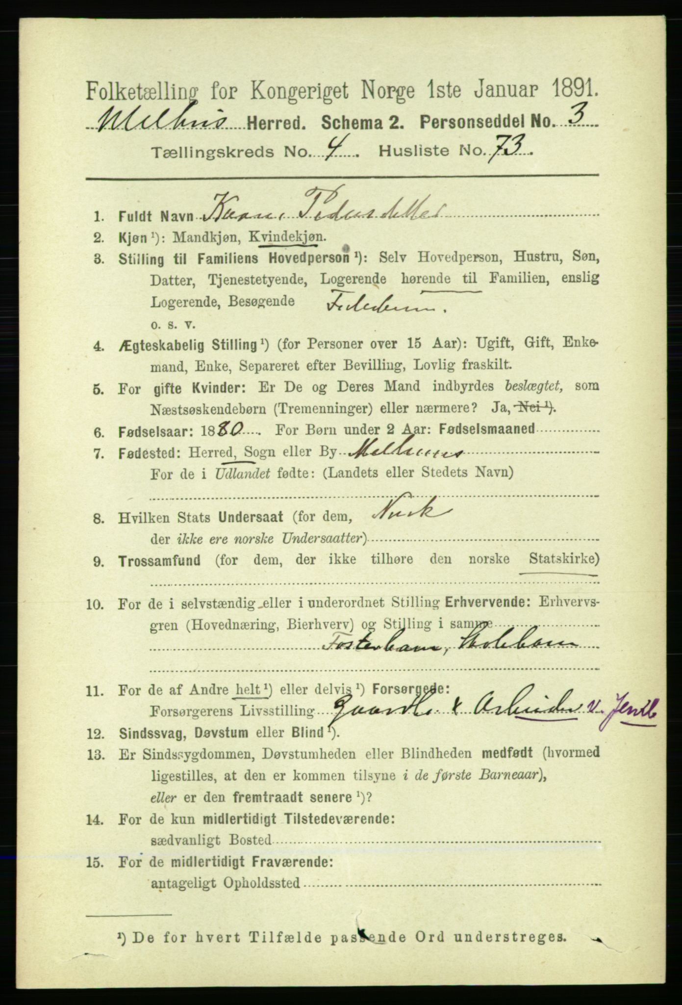 RA, 1891 census for 1653 Melhus, 1891, p. 2348