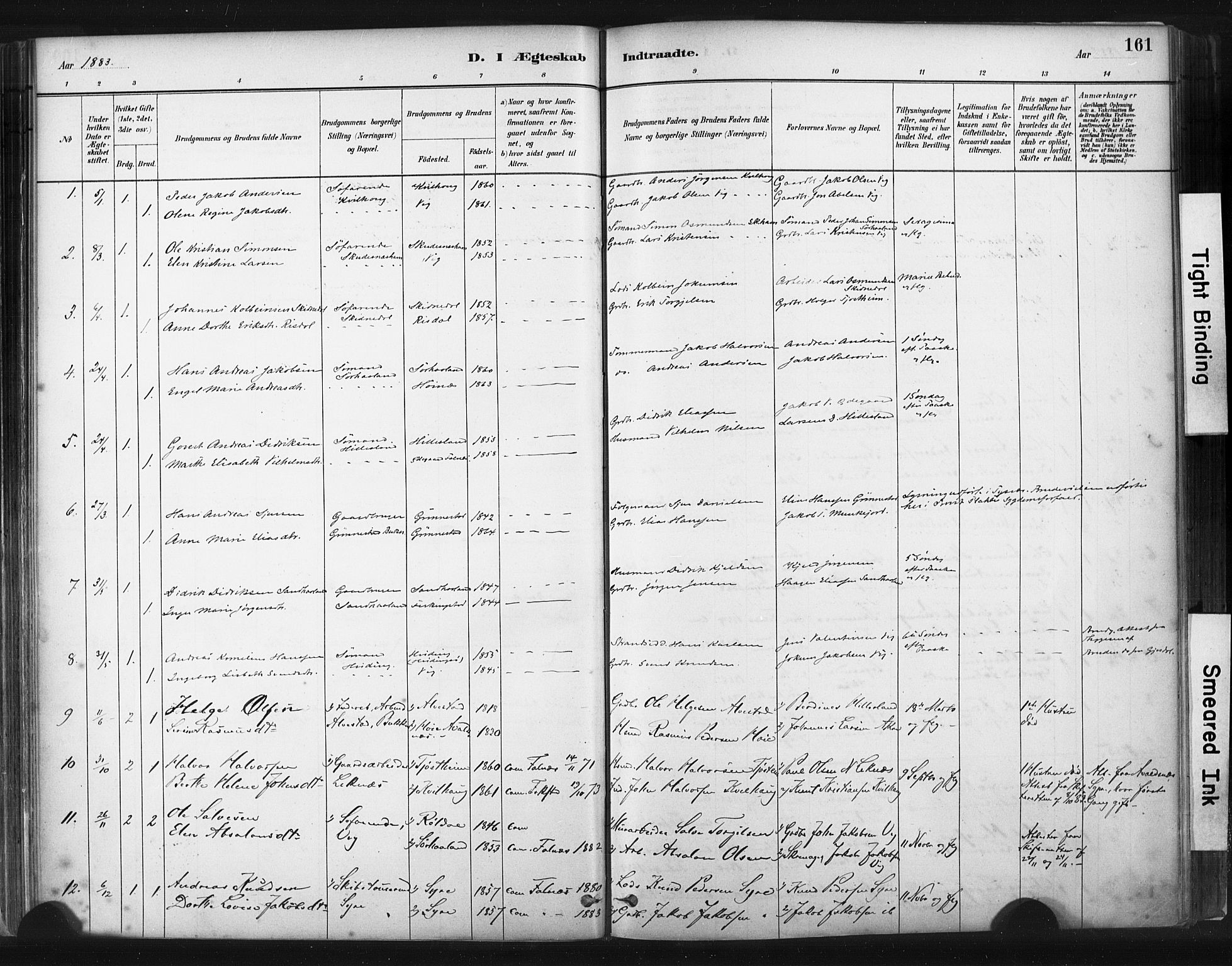 Skudenes sokneprestkontor, SAST/A -101849/H/Ha/Haa/L0009: Parish register (official) no. A 6, 1882-1912, p. 161