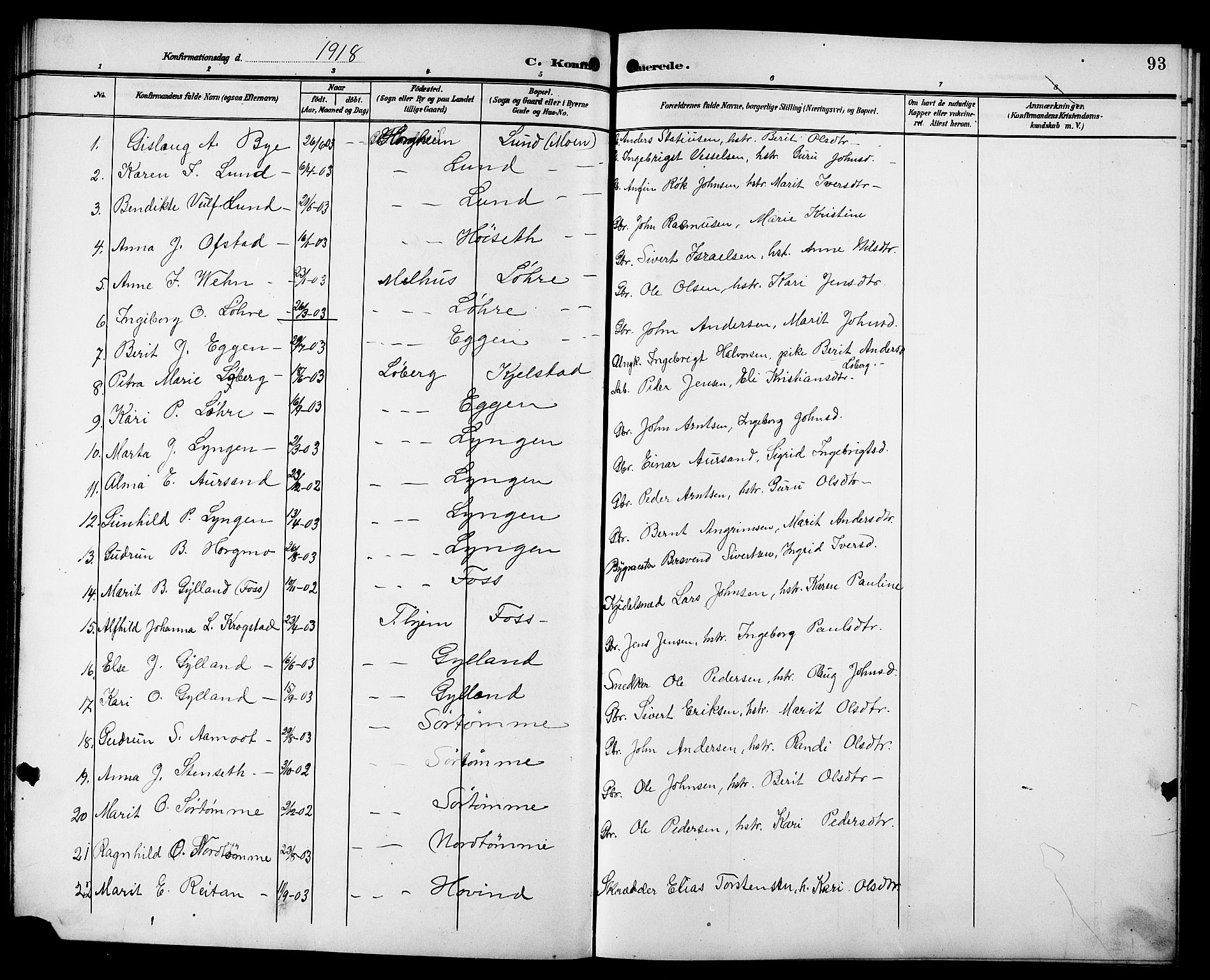 Ministerialprotokoller, klokkerbøker og fødselsregistre - Sør-Trøndelag, AV/SAT-A-1456/692/L1112: Parish register (copy) no. 692C07, 1904-1918, p. 93