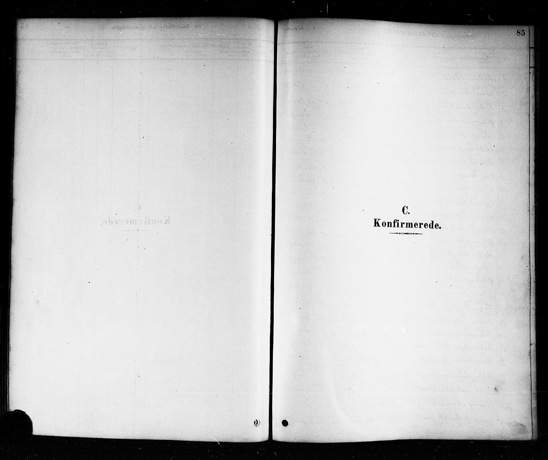 Aremark prestekontor Kirkebøker, SAO/A-10899/F/Fb/L0004: Parish register (official) no. II 4, 1878-1895, p. 85