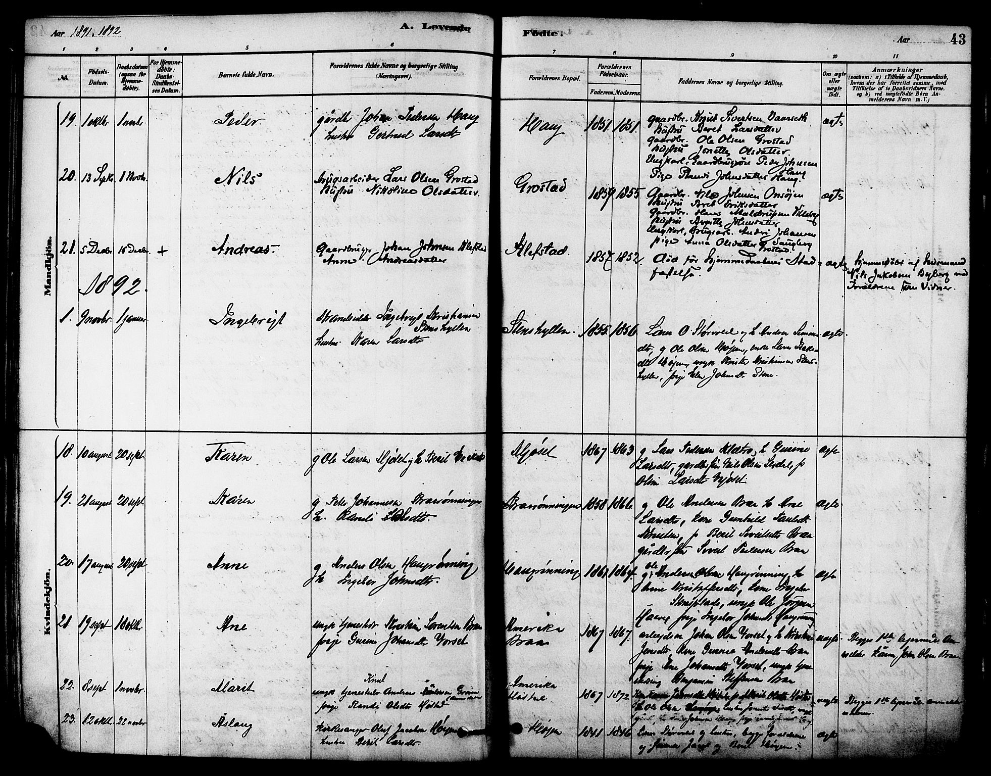 Ministerialprotokoller, klokkerbøker og fødselsregistre - Sør-Trøndelag, SAT/A-1456/612/L0378: Parish register (official) no. 612A10, 1878-1897, p. 43